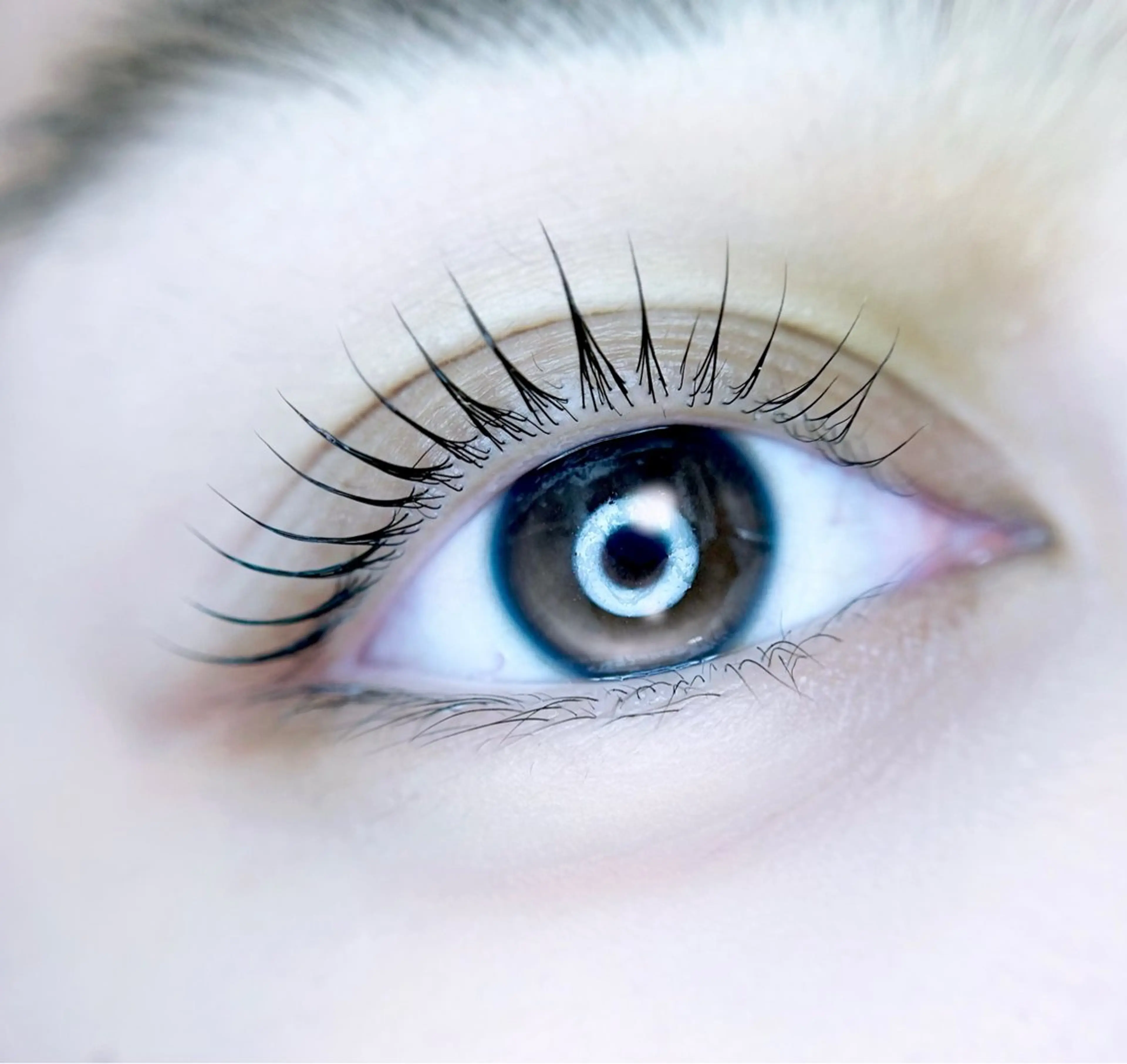 マツエク・マツパ eyelist. mizuki🐈‍⬛の眉毛・アイブロウイメージ