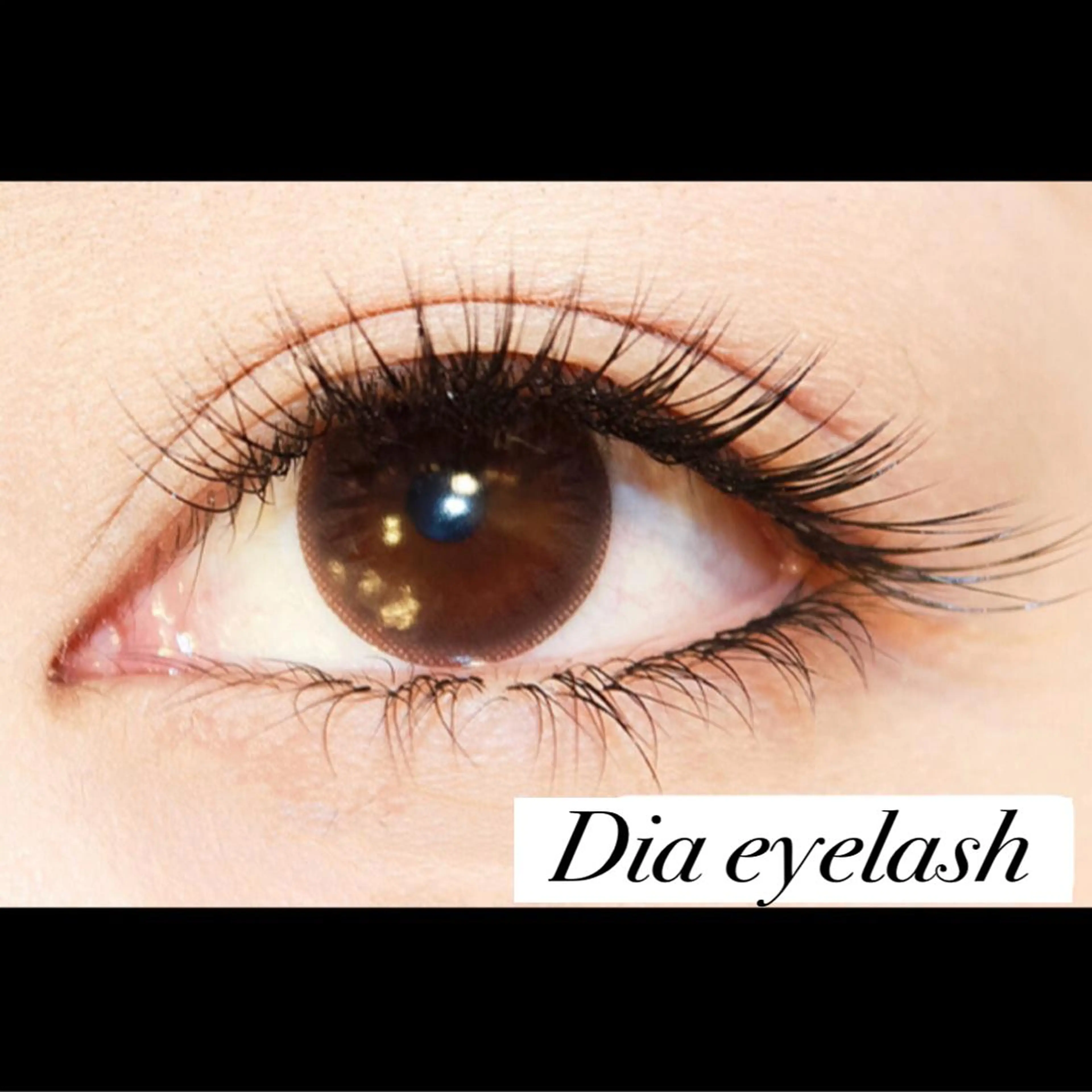 ネイル マツエク・マツパ 付け放題 Dカール セーブル nashira -ナシラ- 恵比寿のマツエク・マツパデザイン