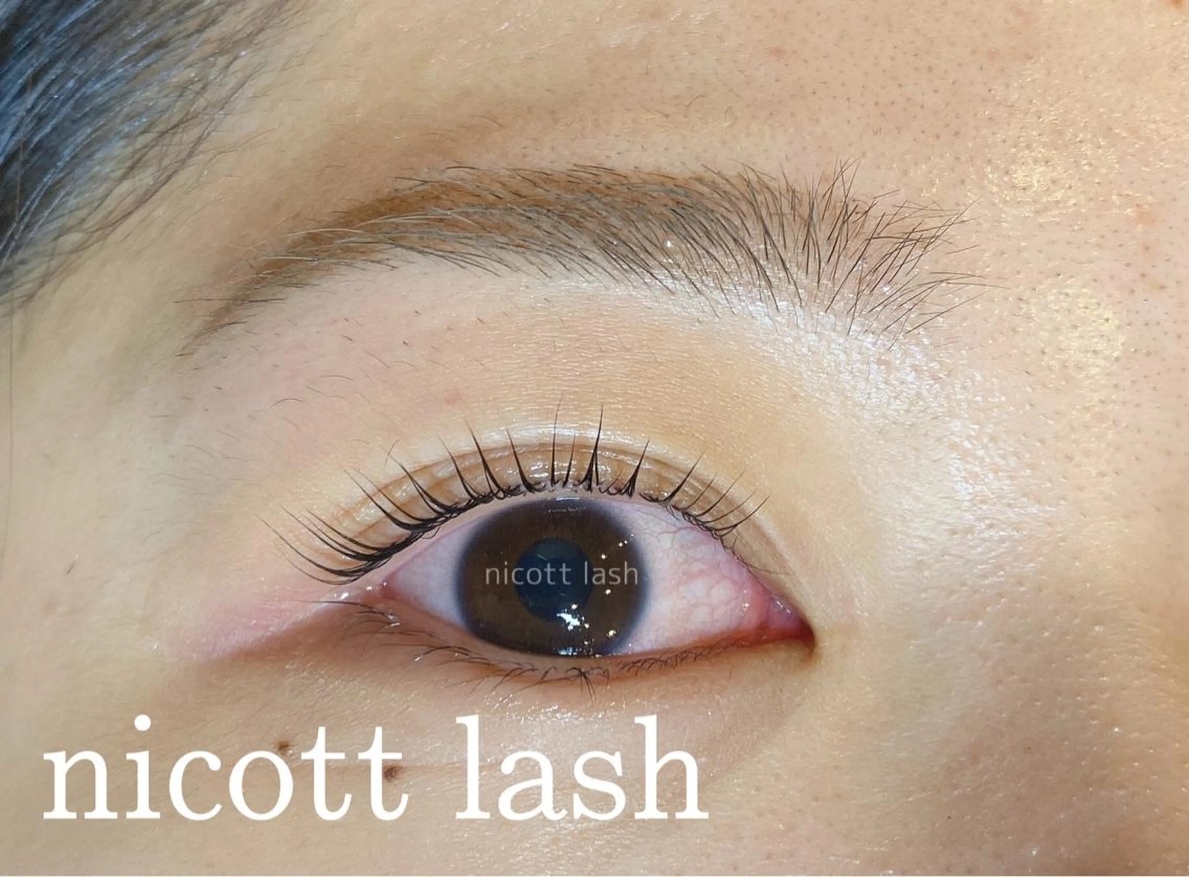 マツエク・マツパ アイブロウ パリジェンヌラッシュリフト nicottlash 天王寺店の眉毛・アイブロウイメージ