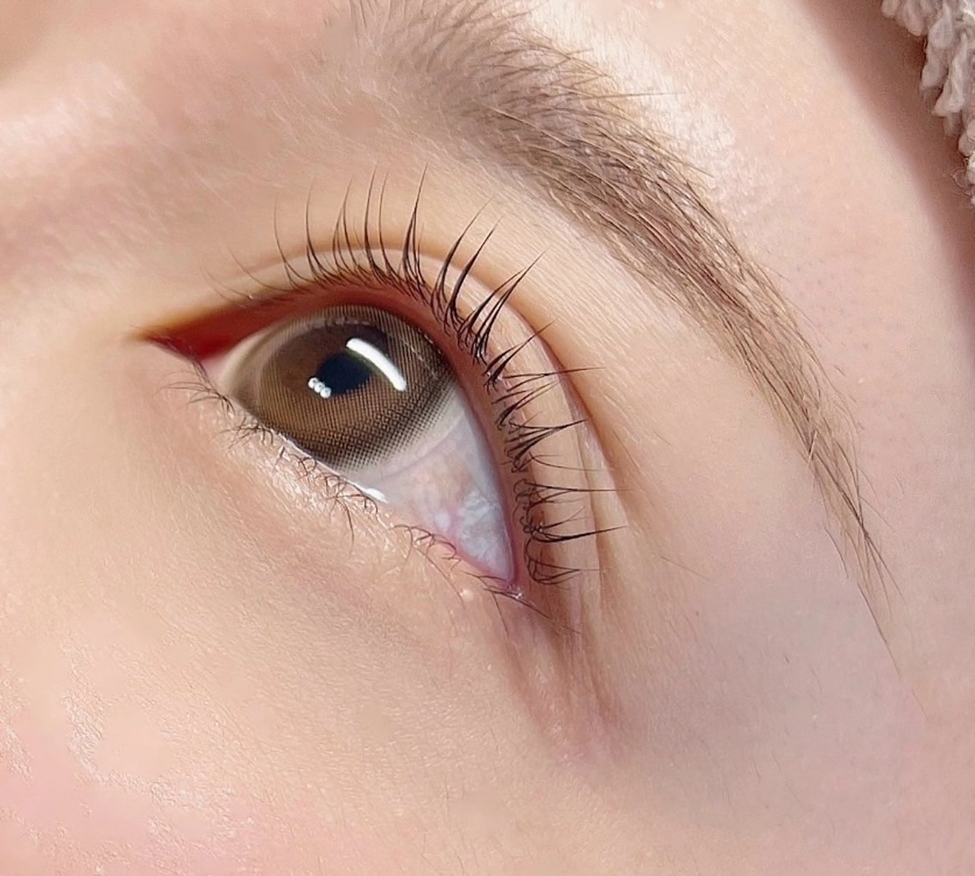 学割　まつ毛パーマの写真