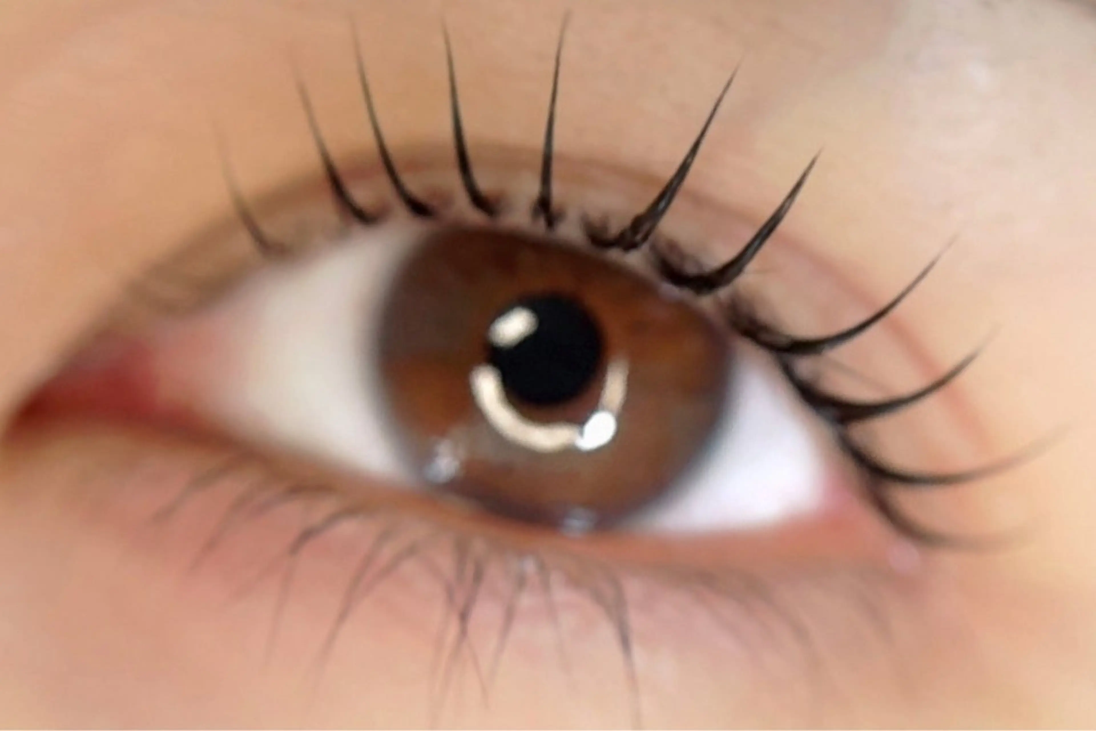 マツエク・マツパ マツパ IZU eyelash&eyeblow所属・IZU 【イズ】の眉毛・アイブロウイメージ