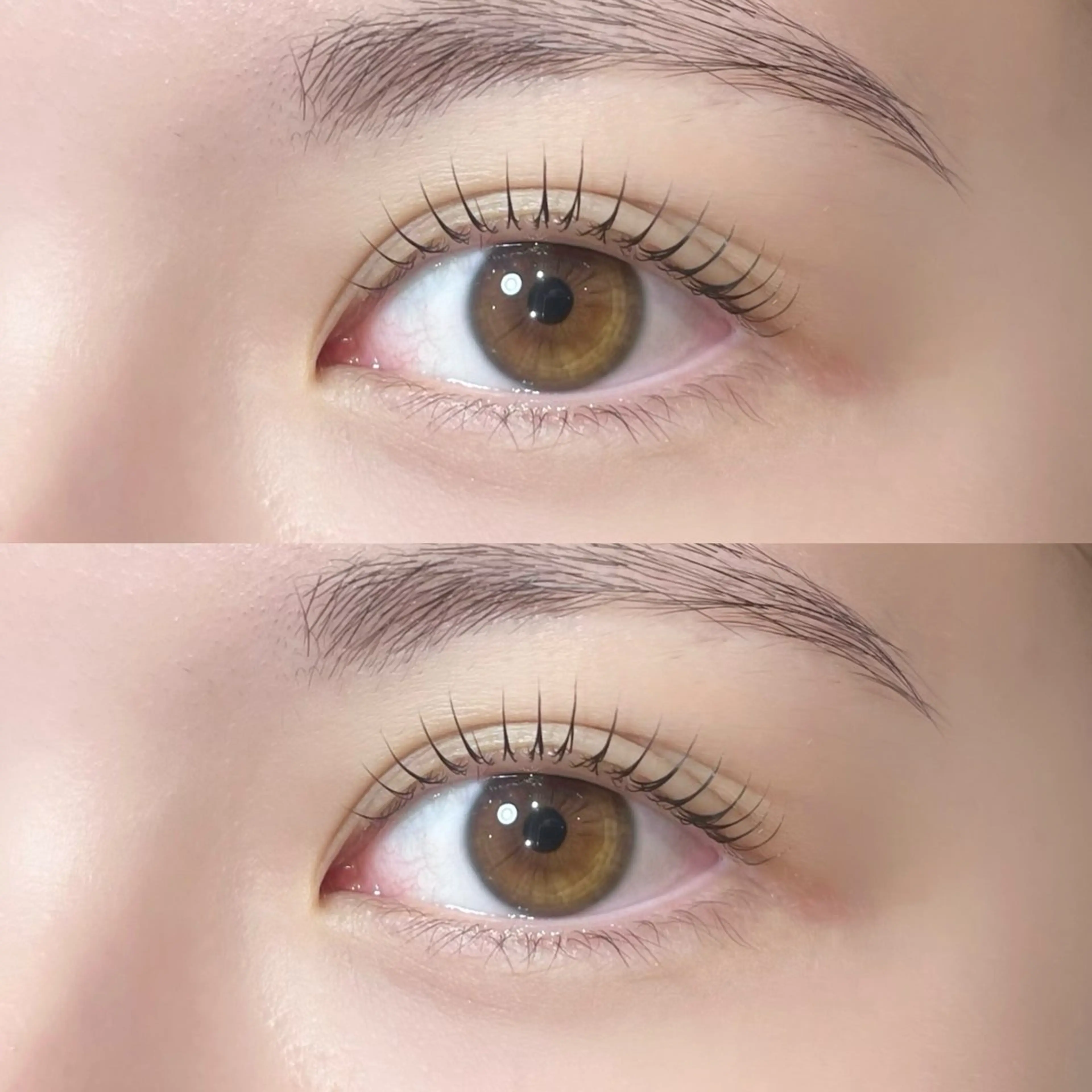 マツエク・マツパ 𝒆𝒊𝒈𝒉𝒕 杏花のマツエク・マツパデザイン