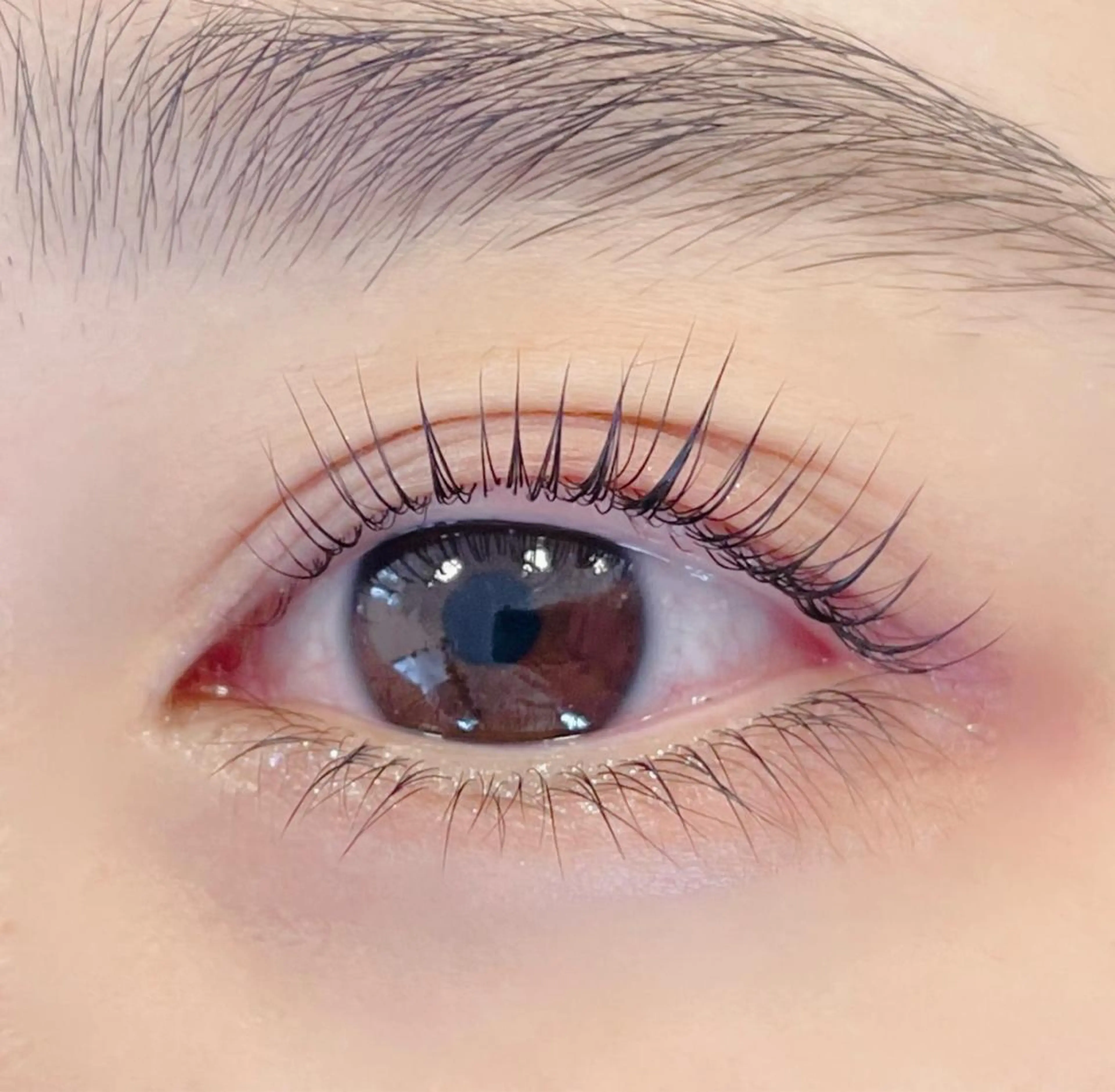 マツエク・マツパ パリジェンヌラッシュリフト Favori 中村のマツエク・マツパデザイン