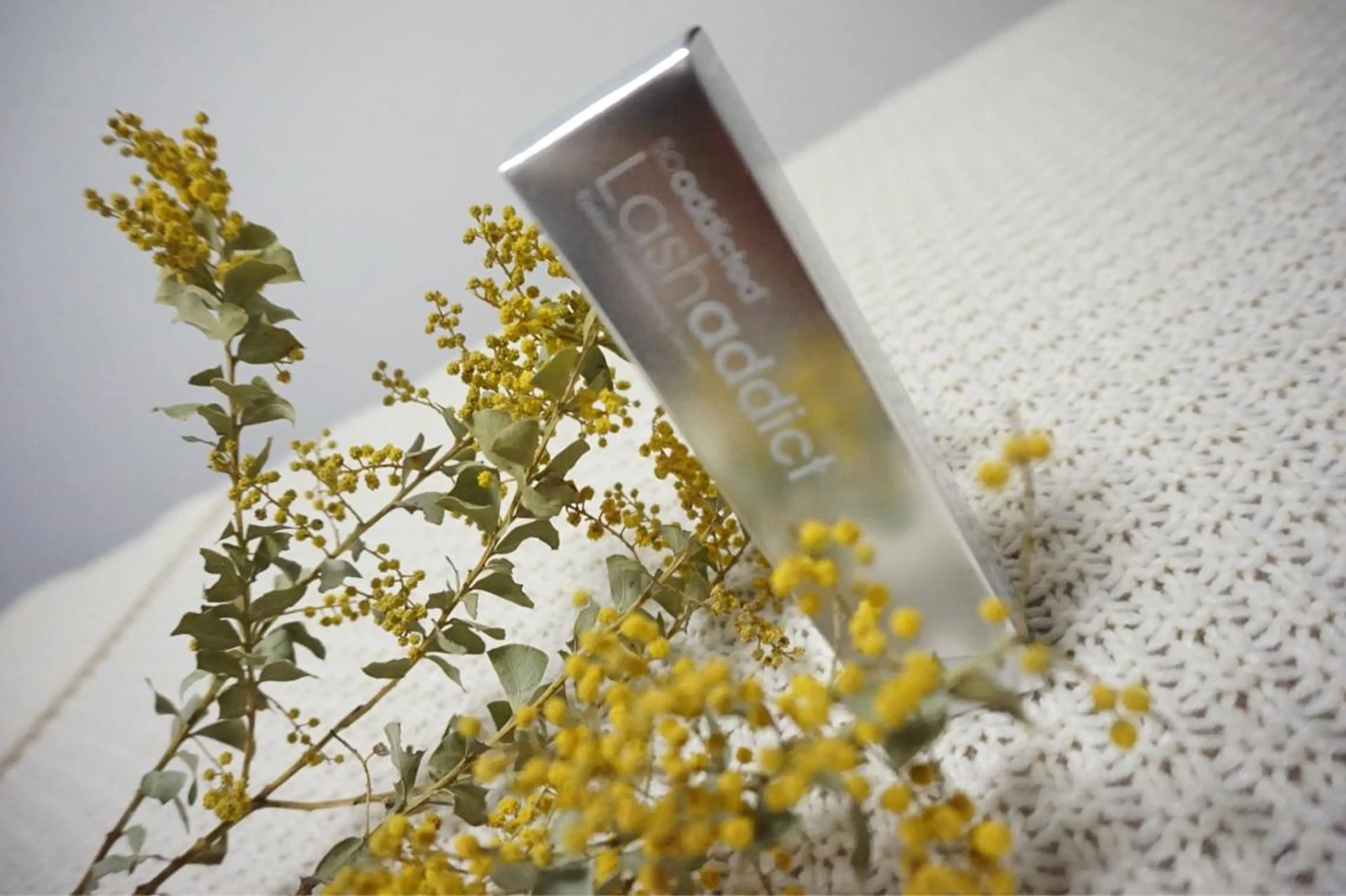 【minimoだけの超限定数！🦩】似合わせ上まつげパーマ×ラッシュアディクトお持ち帰り🩰ご新規様限定🌈の写真