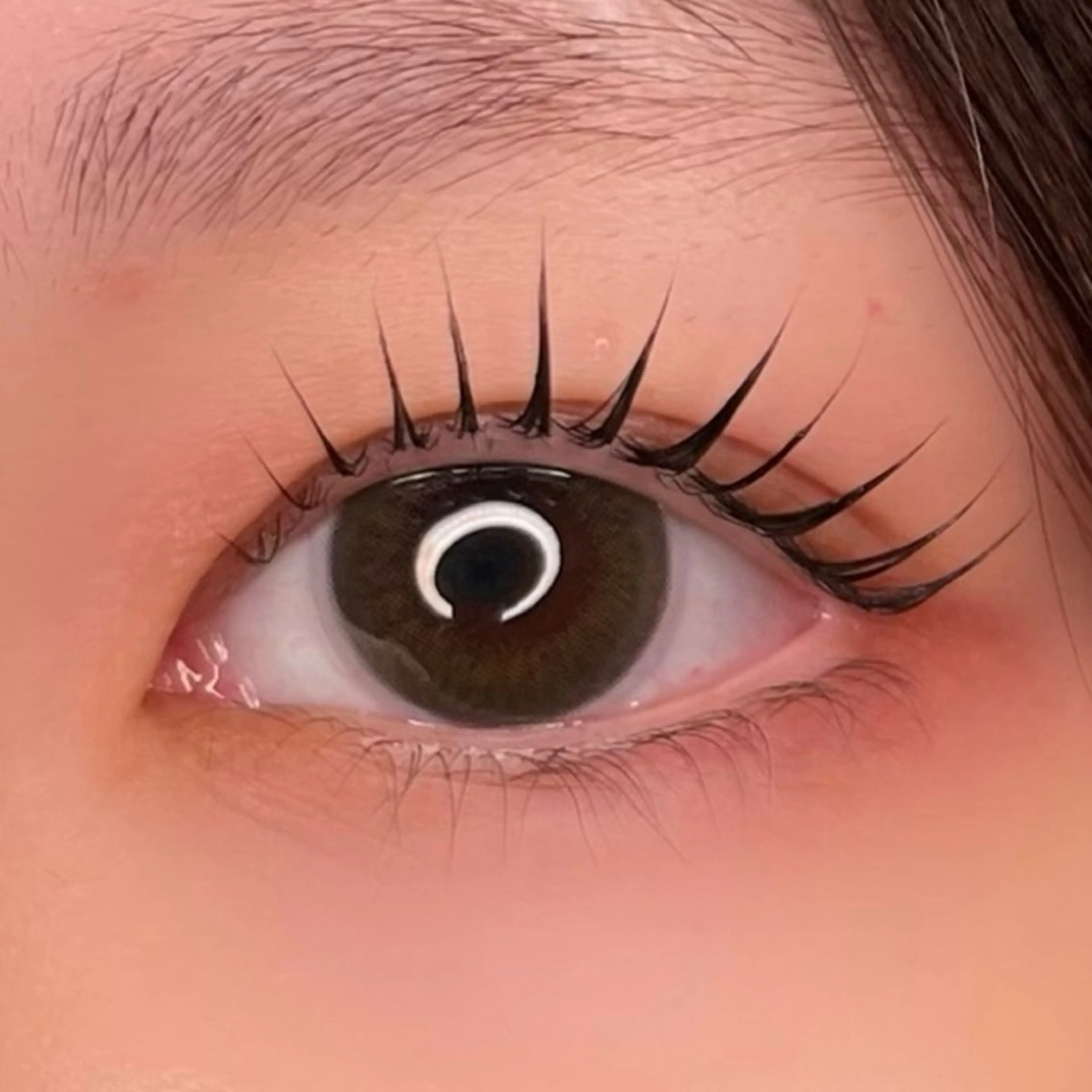 マツエク・マツパ ナチュラル マツパ cache 【カシェ】所属・cache / SAKIの眉毛・アイブロウイメージ