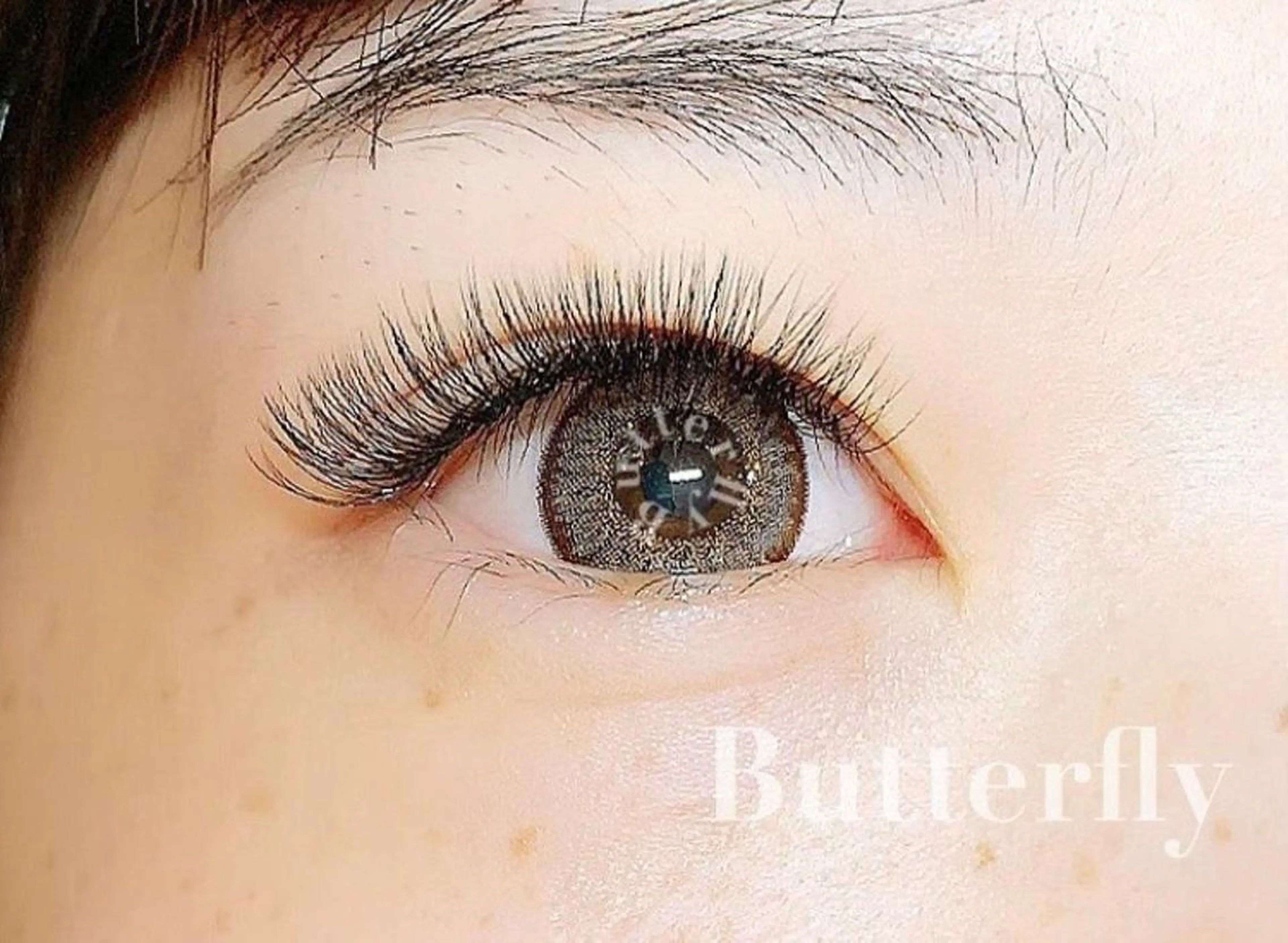 マツエク・マツパ Butterfly 平塚店   横山のマツエク・マツパデザイン