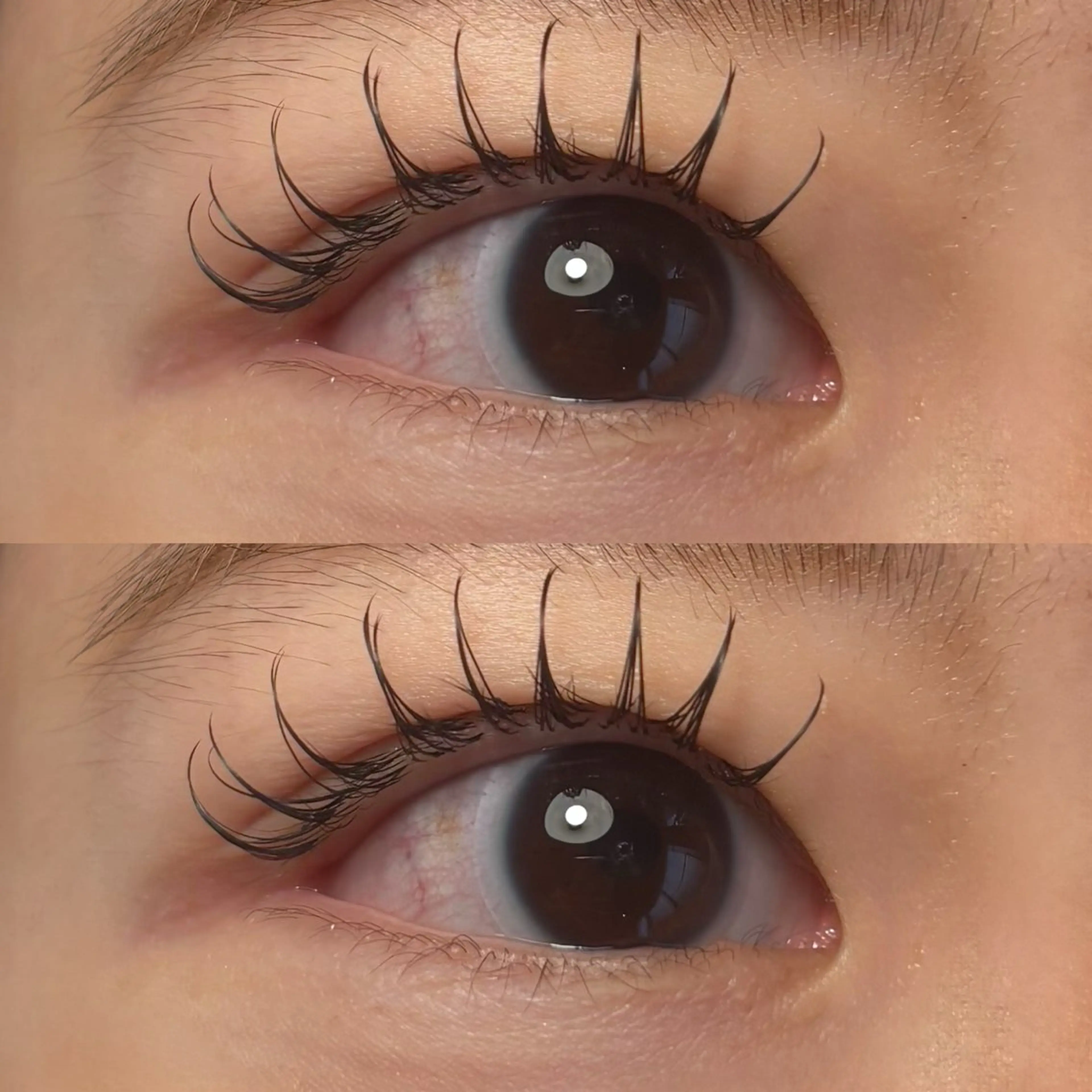 マツエク・マツパ フラットラッシュ 🍇chinatsu 🍇en Rêveのマツエク・マツパデザイン