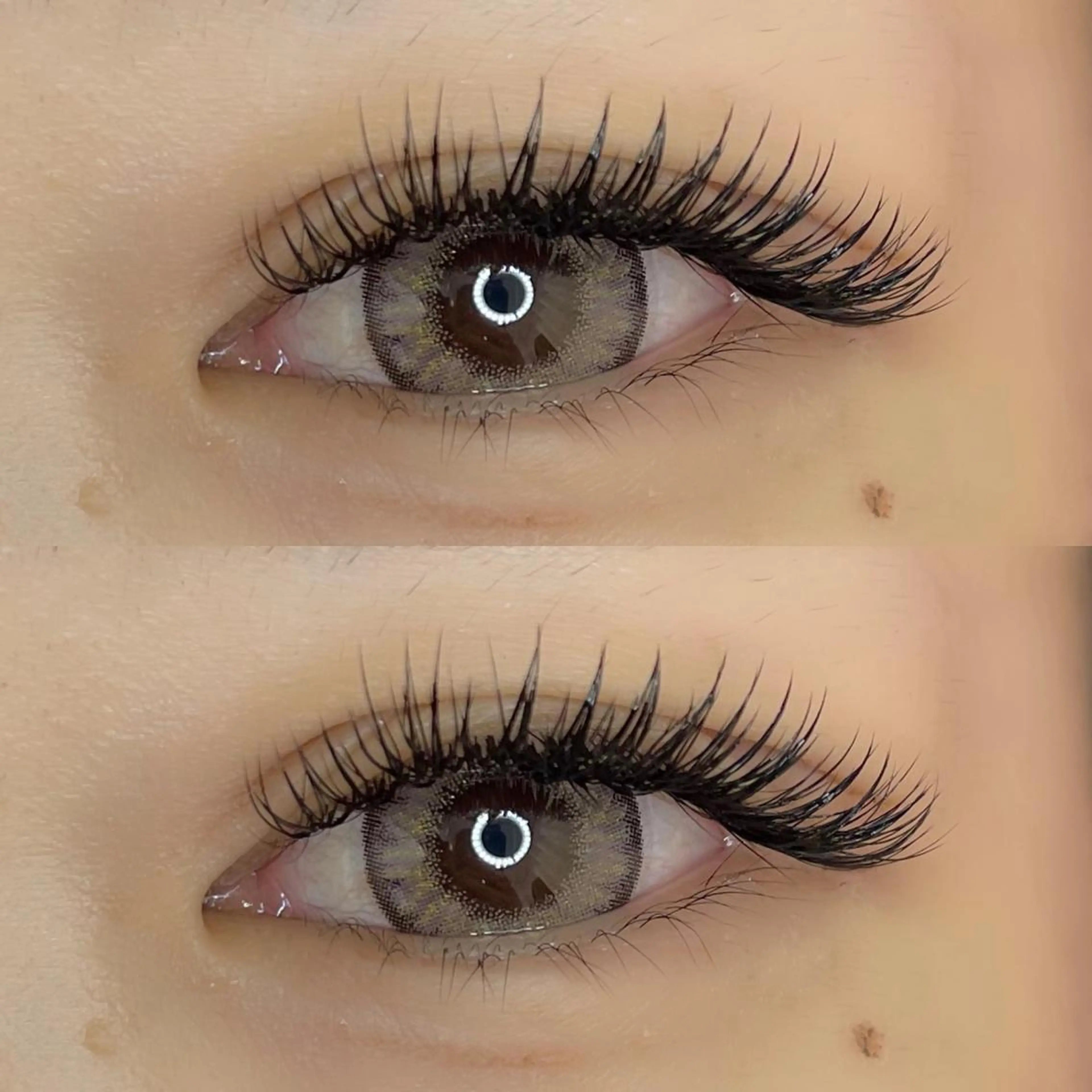 《超軽量高持続》 フラットラッシュ【200本まで付け放題】コーティング付きの写真