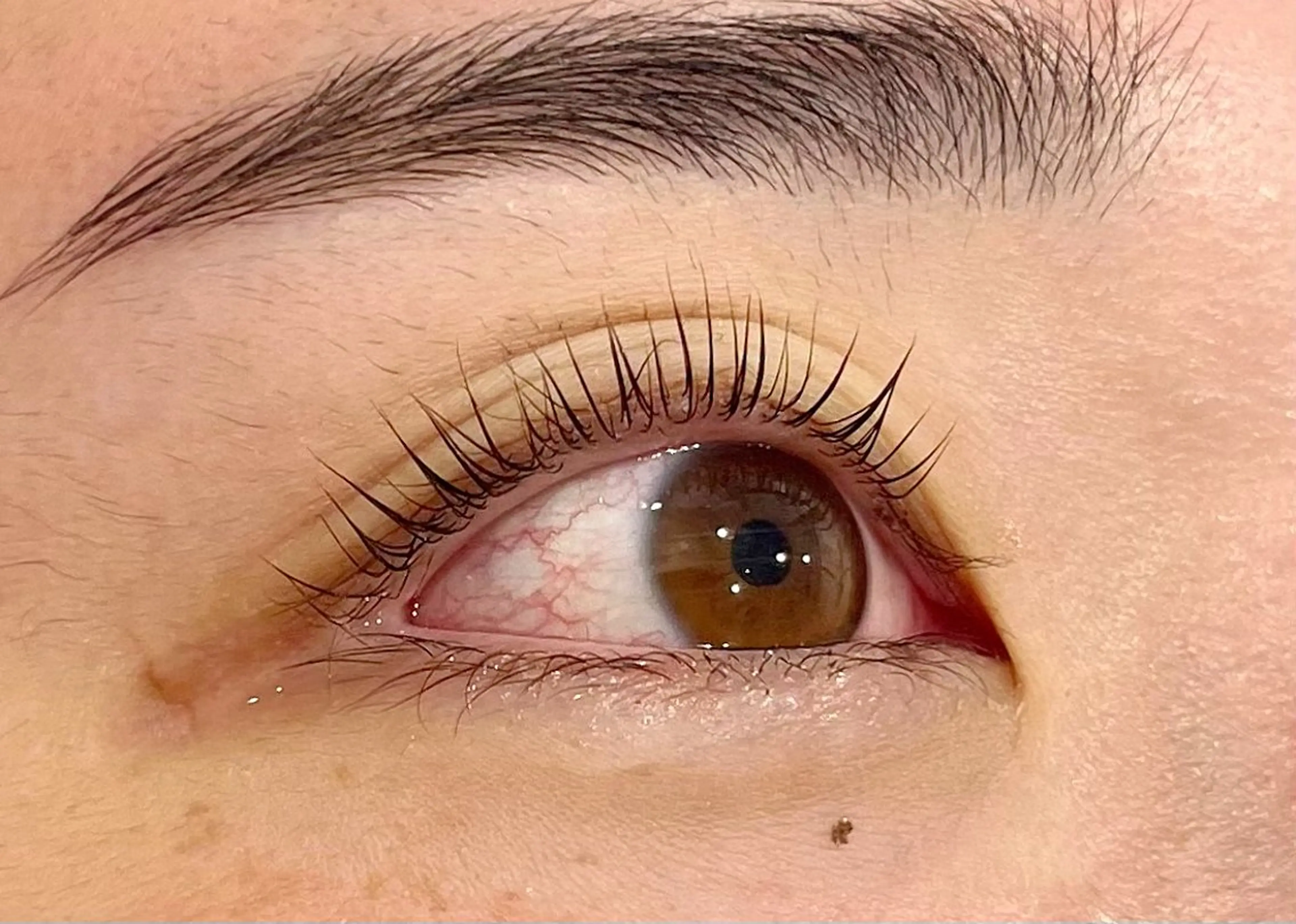 マツエク・マツパ マツパ epill Lenna .🦋のマツエク・マツパデザイン