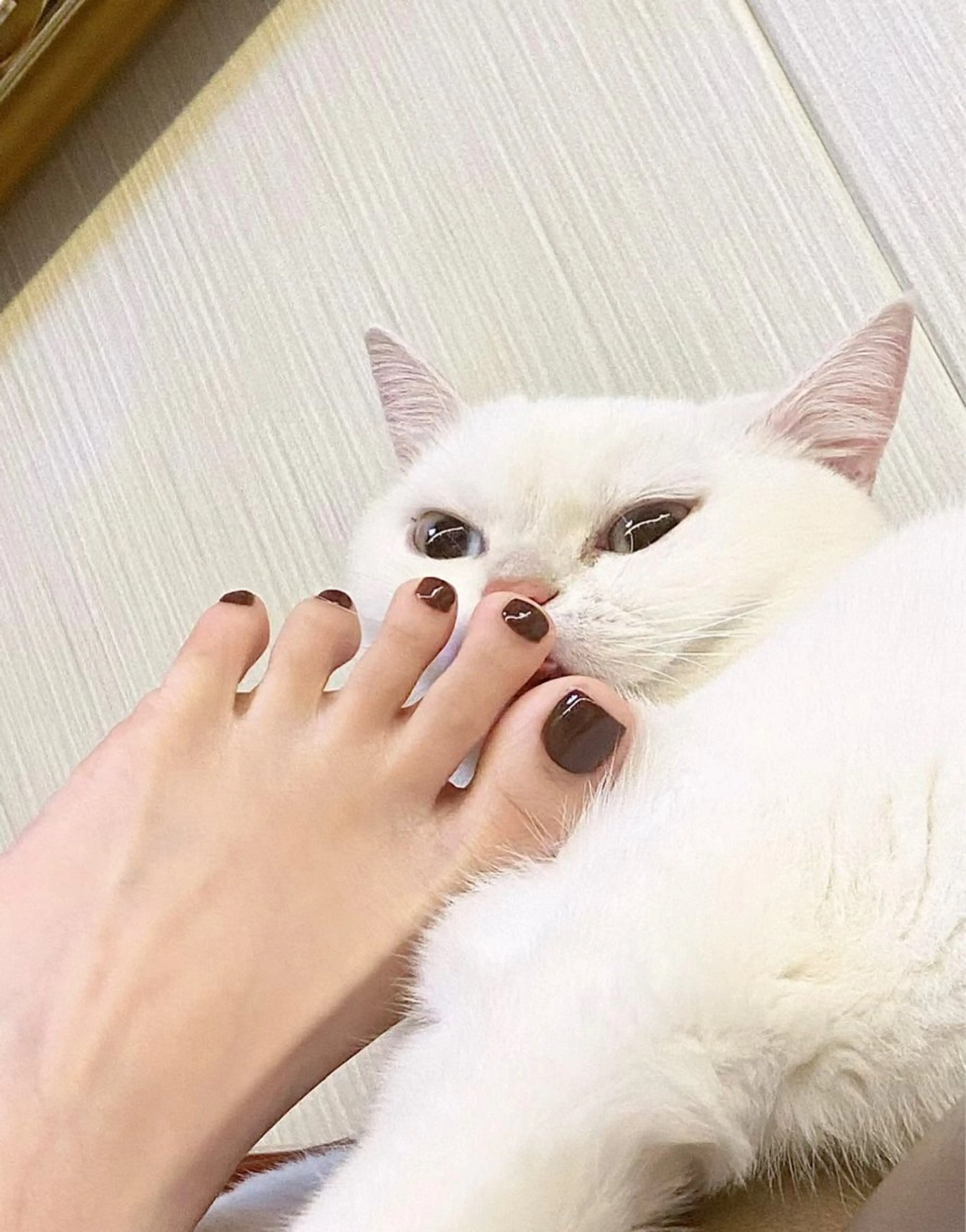 フットワンカラー「初回オフ無料」の写真