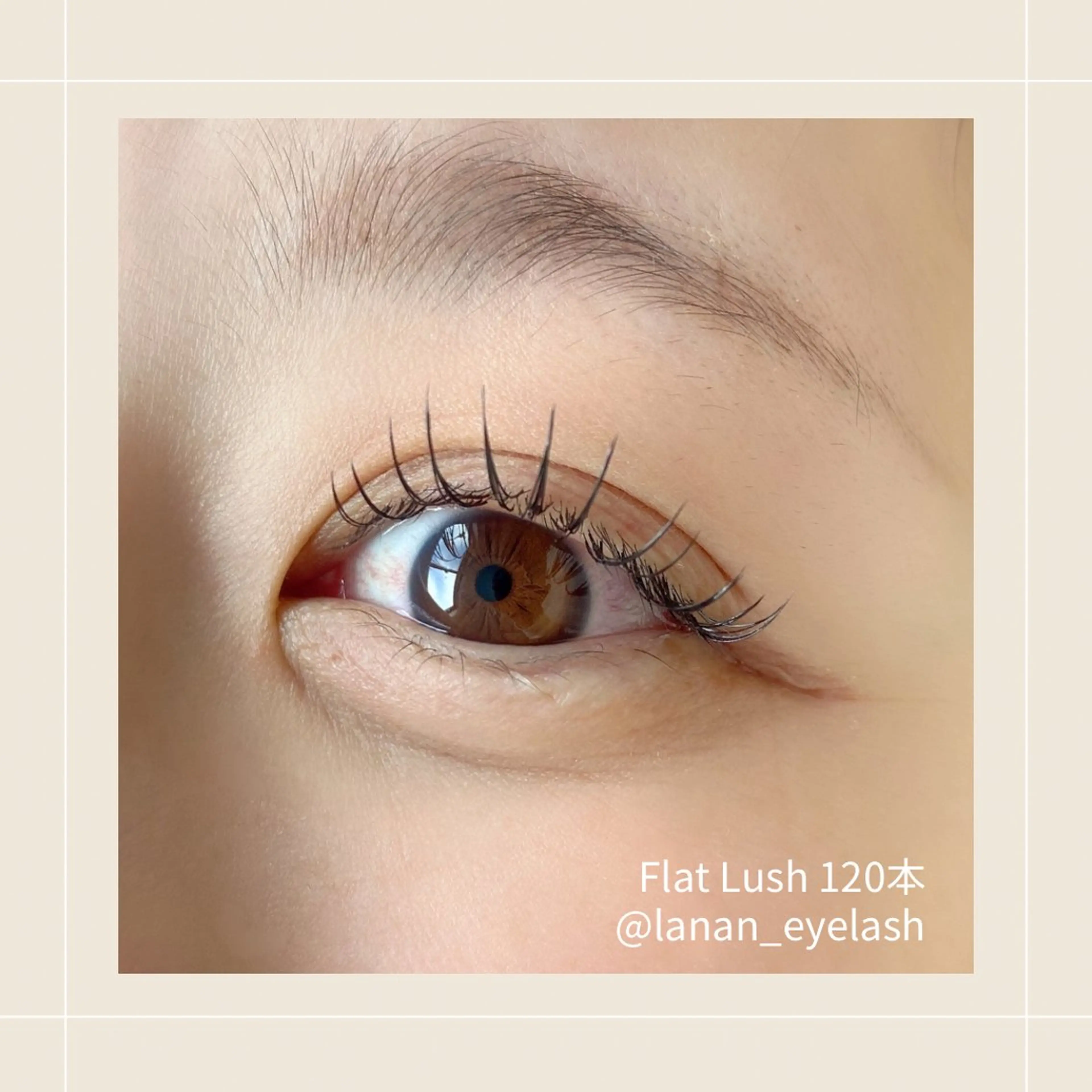 🌼︎︎人気NO.1🌼︎︎𓂃⟡.·フラットラッシュ120本¥6000→¥4500の写真