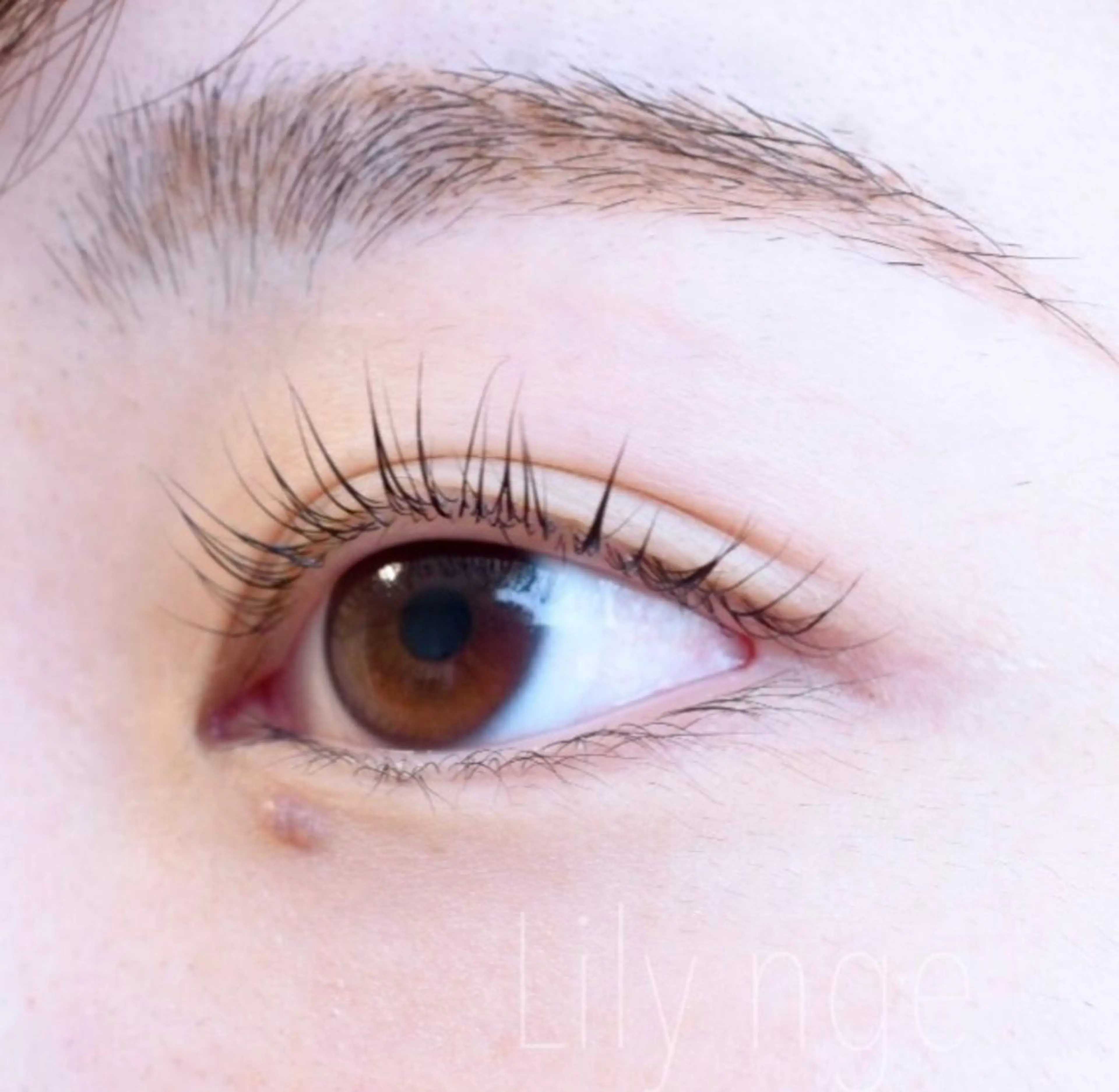 マツエク・マツパ Lily nge   〜リリーアンジュ〜所属・堀 百合香のマツエク・マツパデザイン