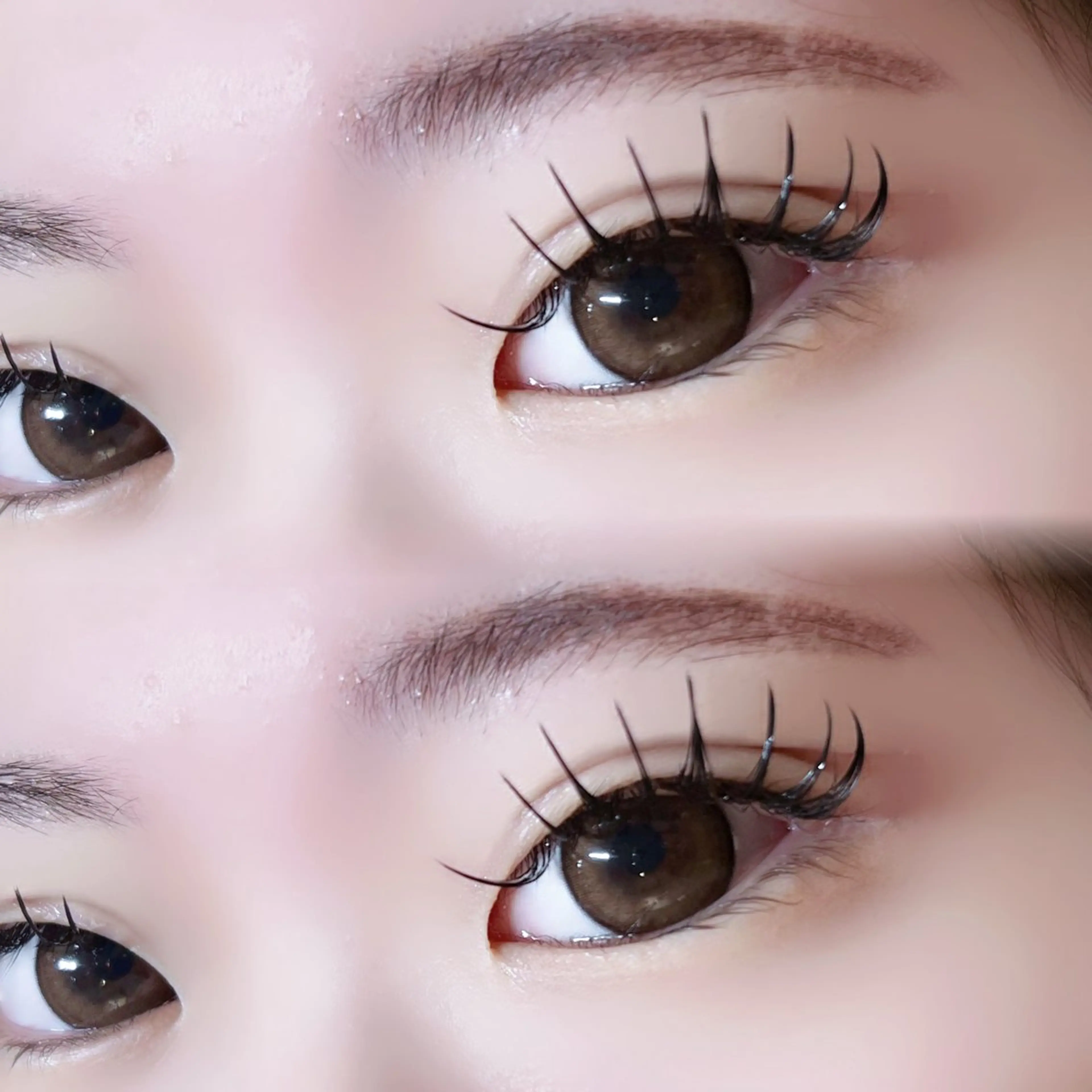 💞3D ボリュームラッシュ💞 100束以内【LED変更済❣】の写真