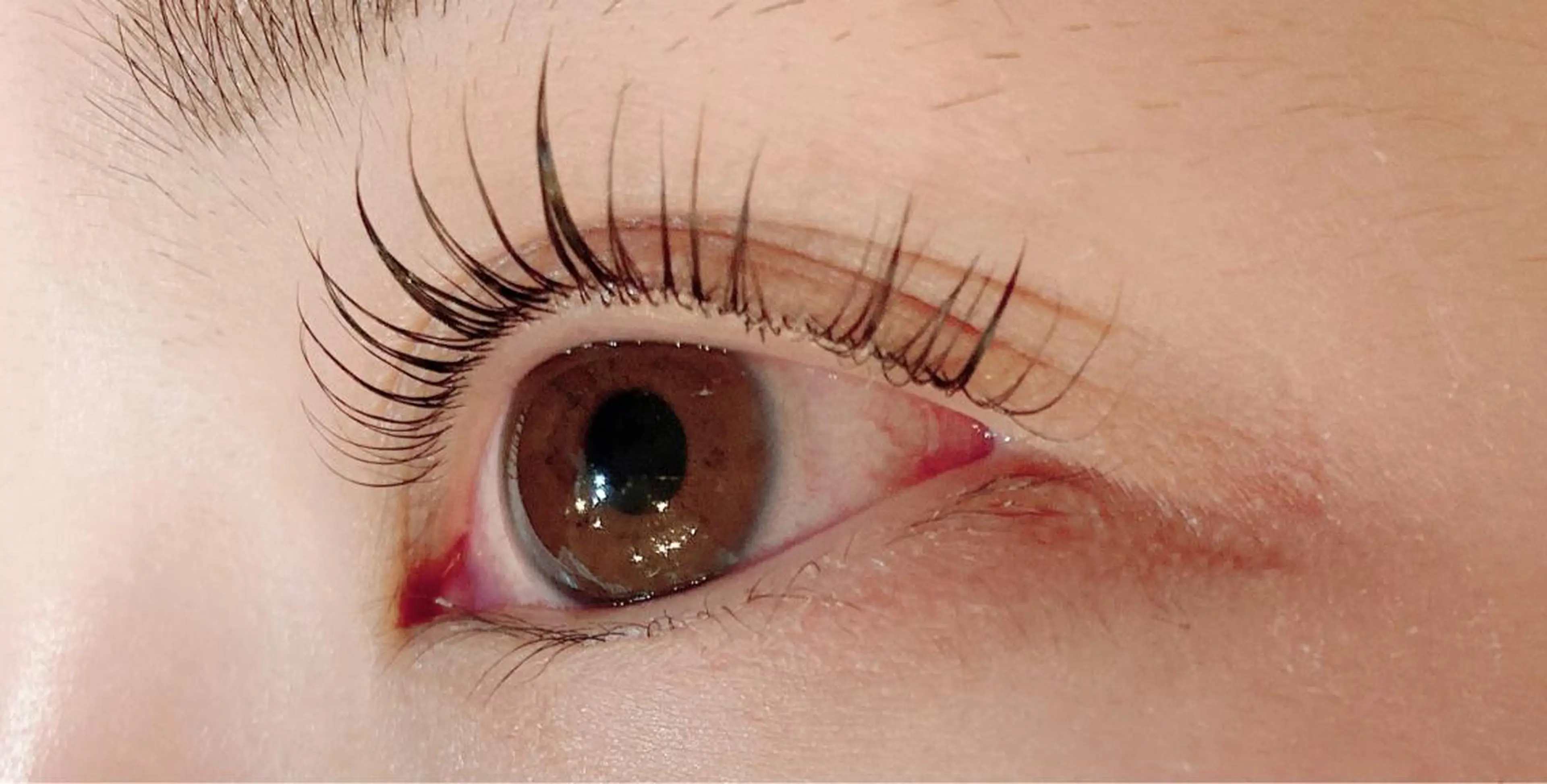 マツエク・マツパ ケラチンラッシュリフト .ula 𝑨𝒚𝒂𝒌𝒂のマツエク・マツパデザイン