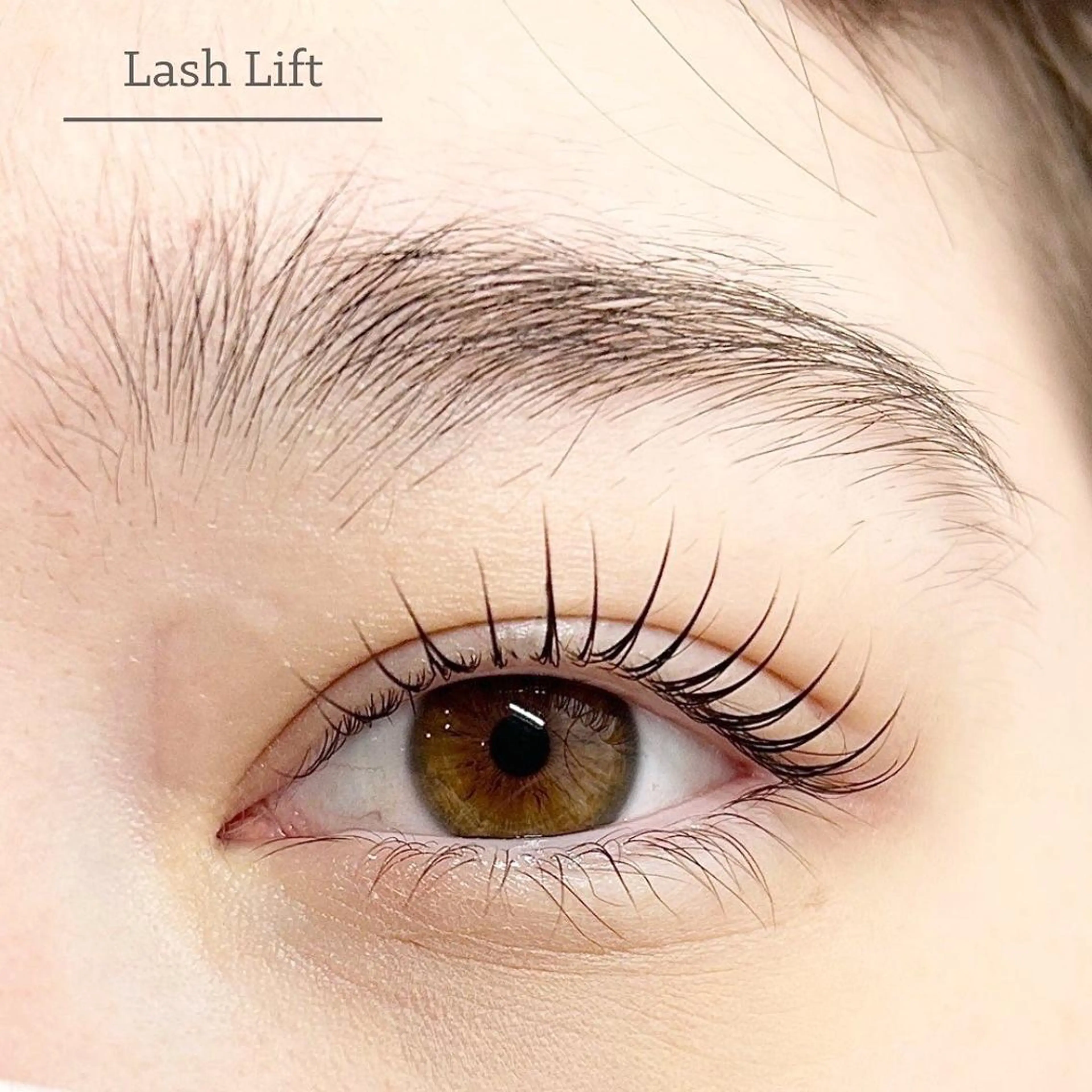 【当日5名様限定☻】パリジェンヌor束間韓国風まつげパーマ🤍予約リクエストからご予約下さい☺︎の写真