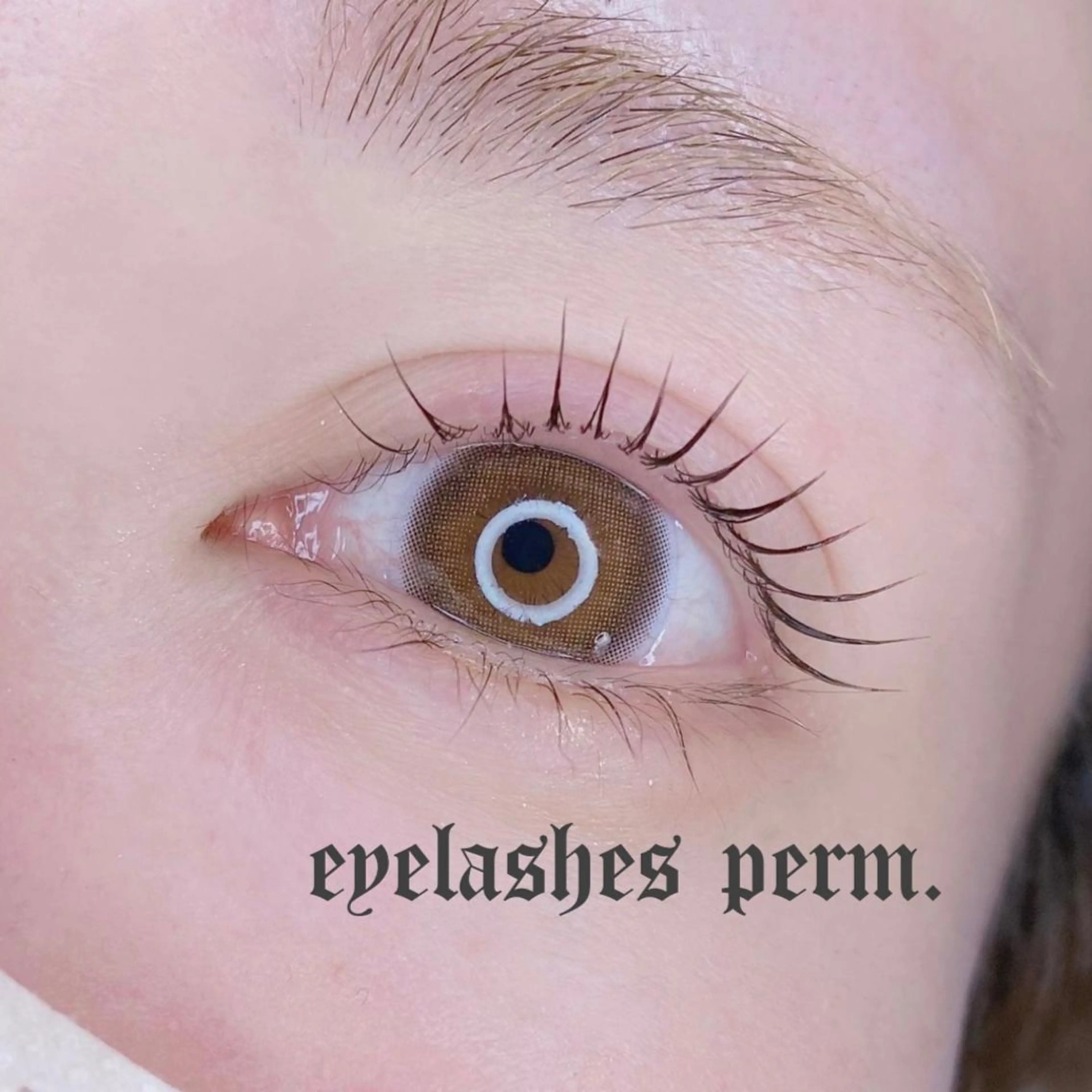 マツエク・マツパ マツパ Nancy所属・束感まつげ❤︎ あみのマツエク・マツパデザイン