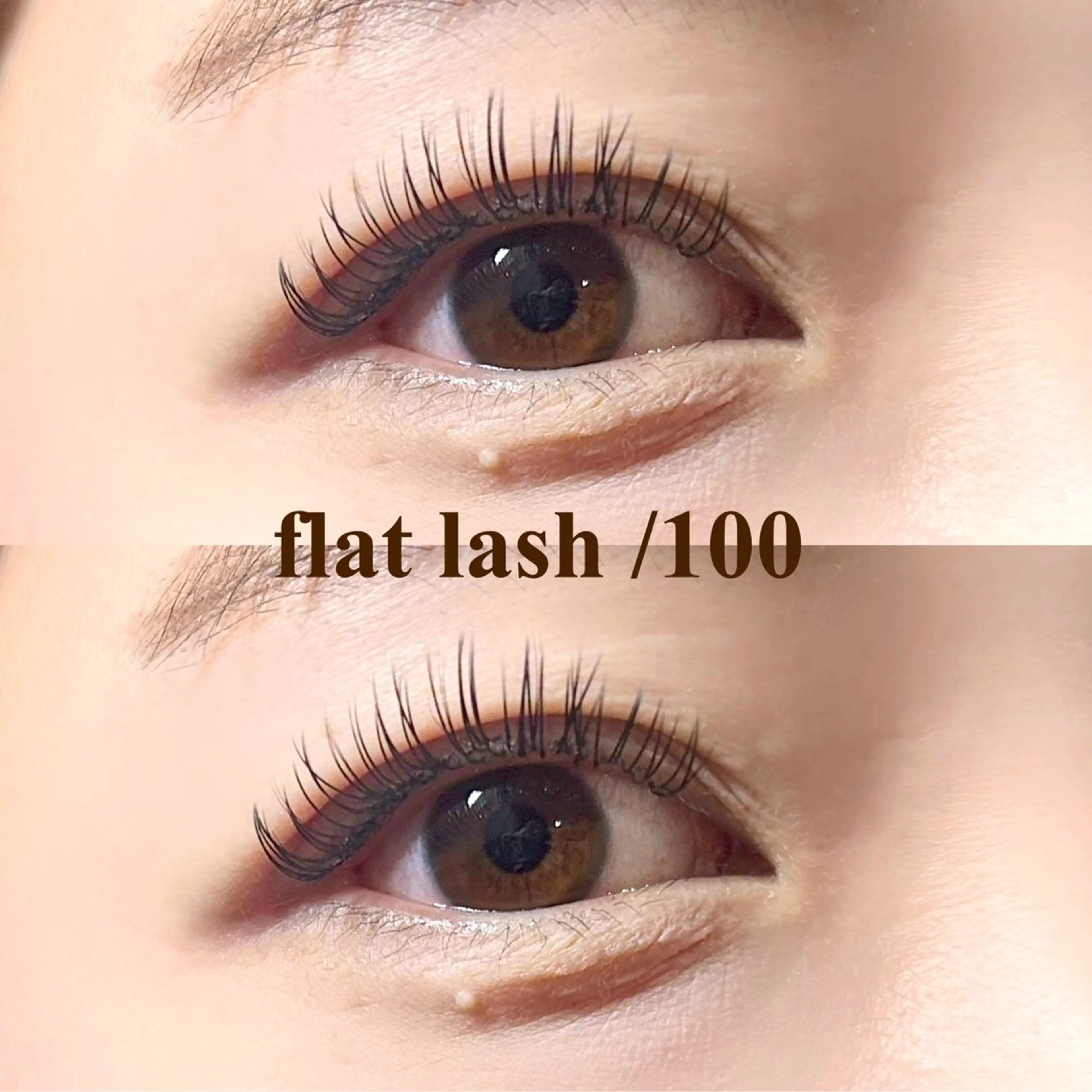 【火曜~金曜限定】他店オフ込み♪フラットラッシュ 100本の写真