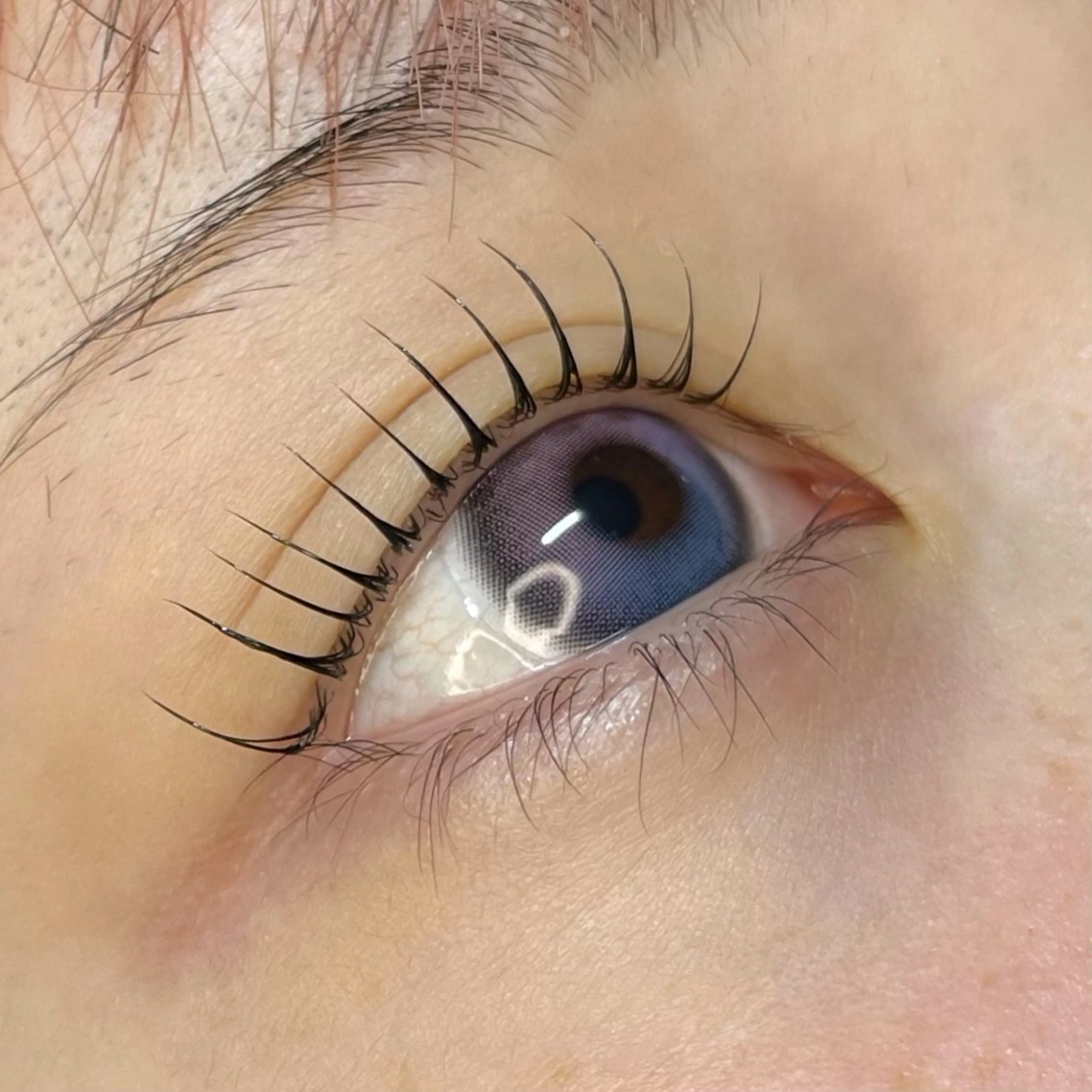 マツエク・マツパ 一重×まつ毛パーマ lagoon eyelash津久野のマツエク・マツパデザイン