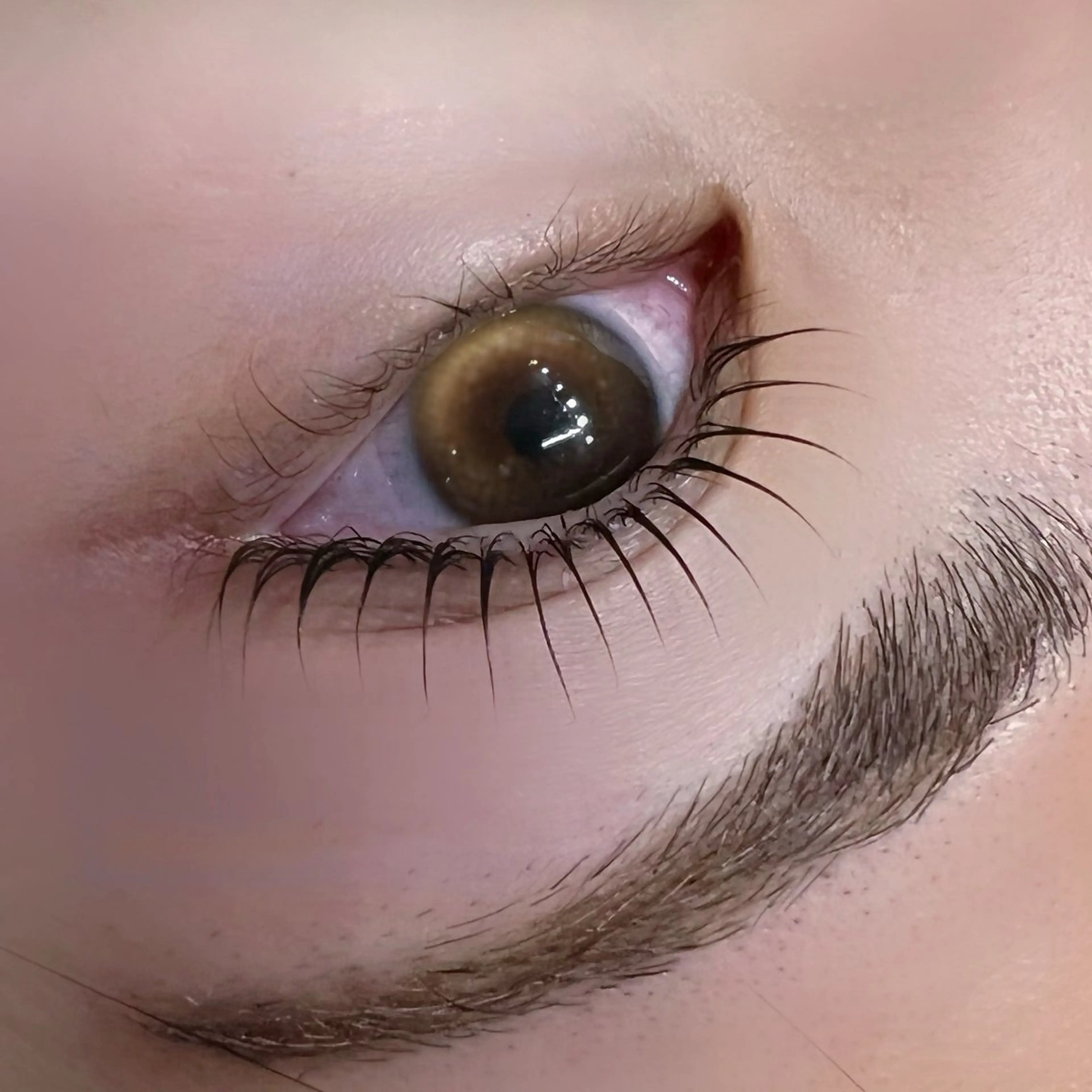 【新規限定】まつげパーマorパリジェンヌ【TR付】の写真