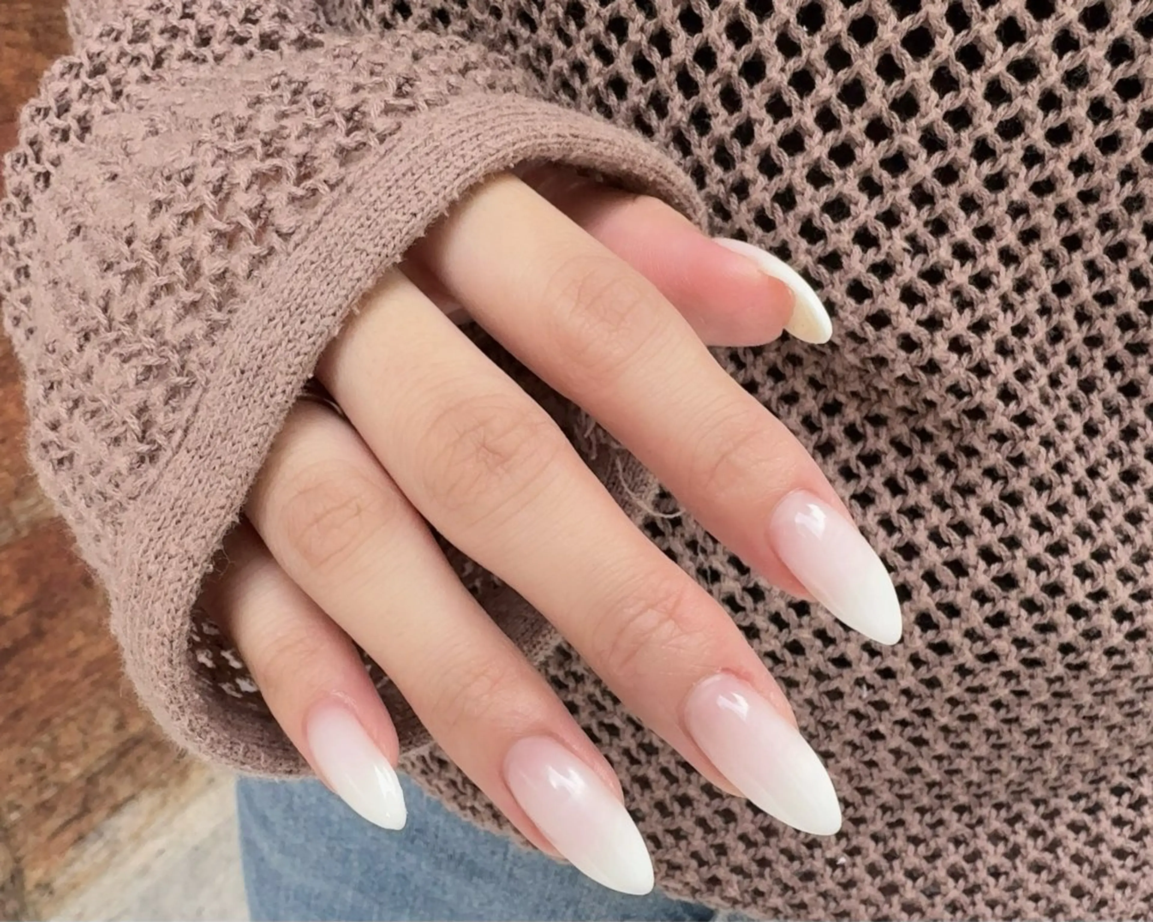 検定モデル、カラーグラデーション【必ず補足説明をお読みください】の写真