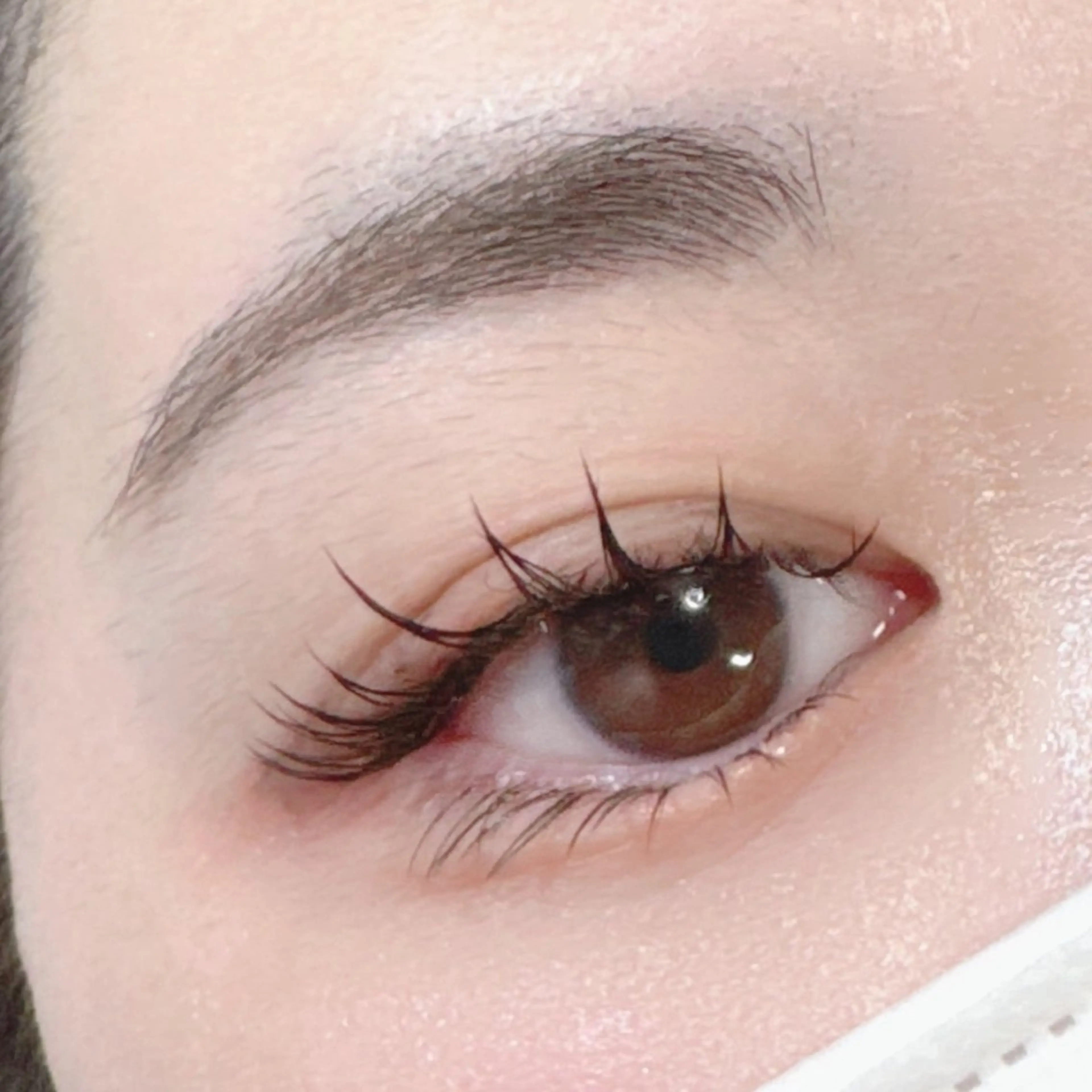 マツエク・マツパ 下まつげエクステ Li-Fra YOKOのマツエク・マツパデザイン