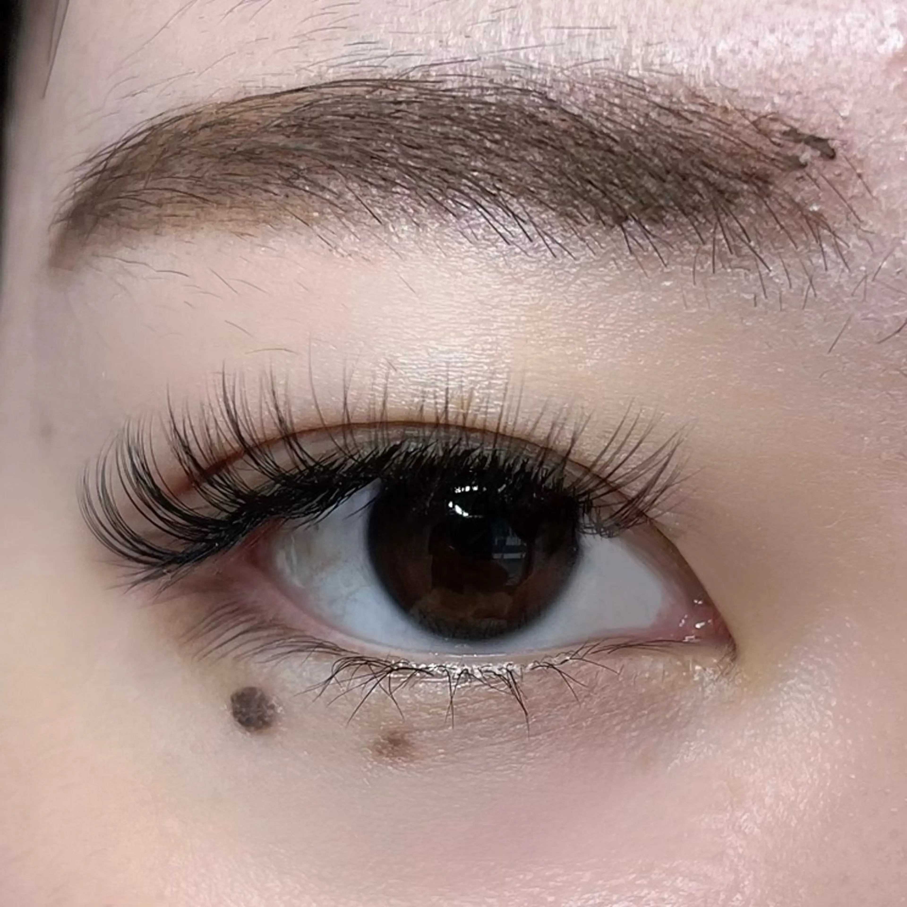 マツエク・マツパ ボリュームラッシュ lrie ／  moeのマツエク・マツパデザイン