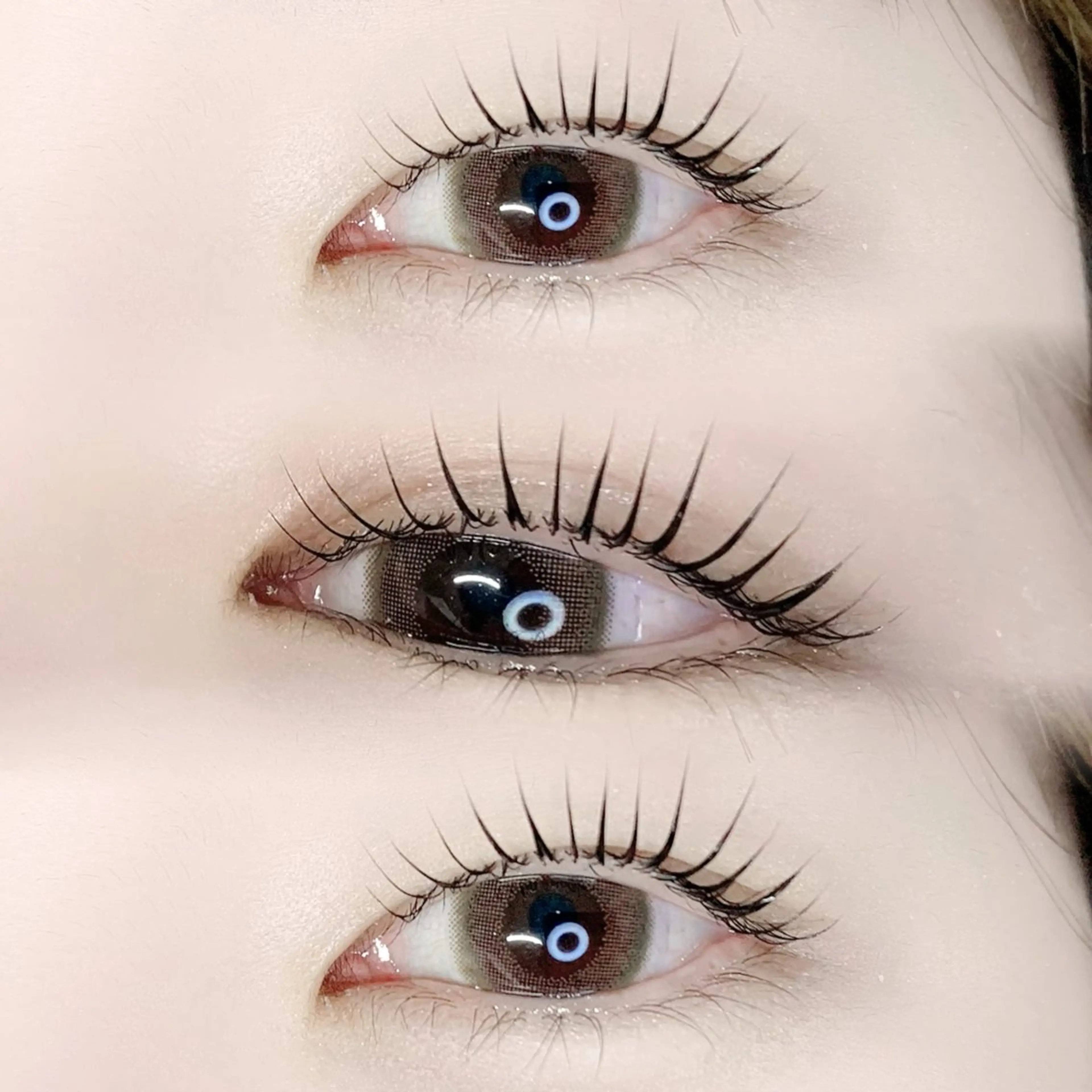 【ご新規様限定】⭐人気No.2｜ラッシュリフト / パリジェンヌ｜コーティング仕上げの写真