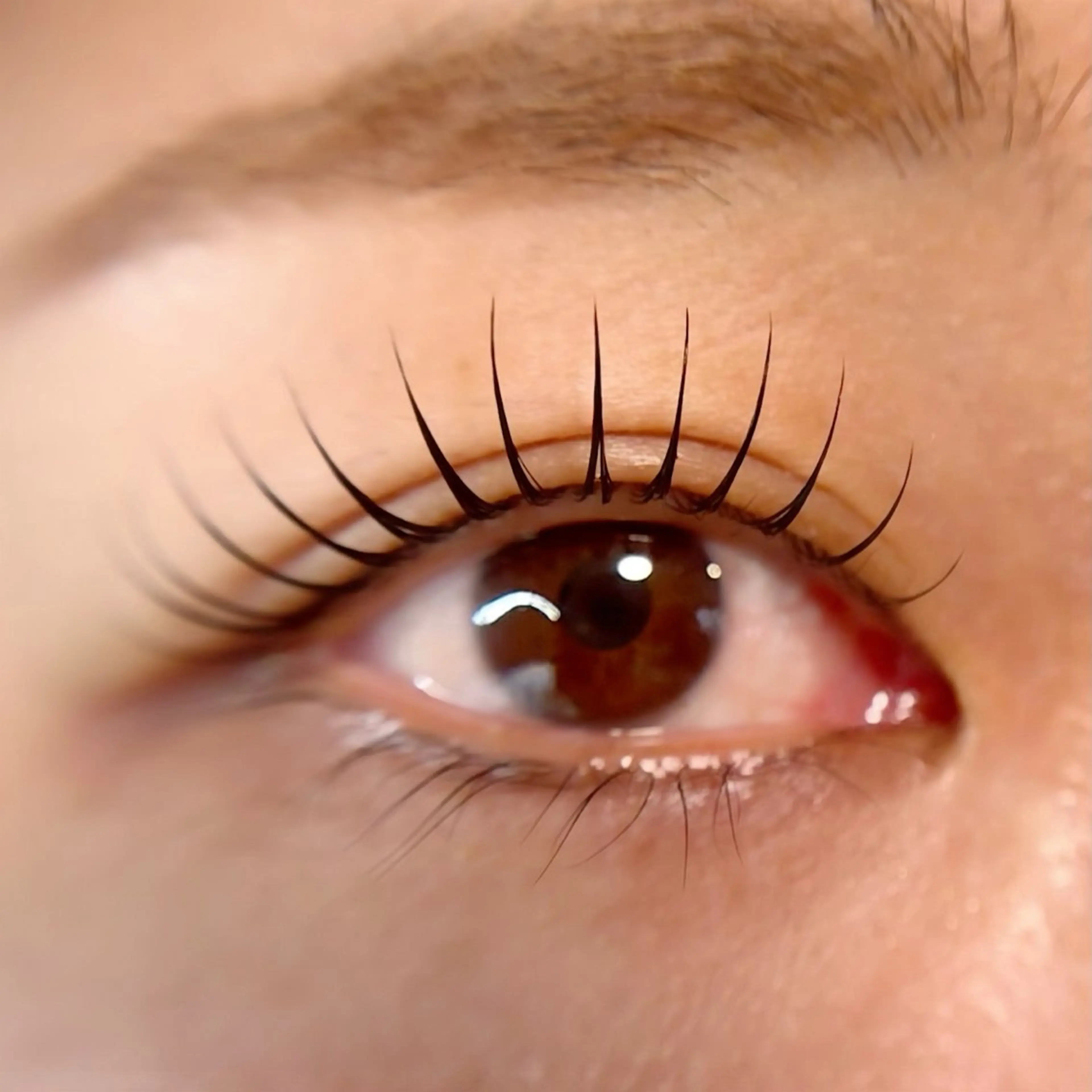 マツエク・マツパ ケラチンラッシュリフト 一重×まつ毛パーマ マツパ eFu【lashlift&eyeblow】所属・長井市/ MINAGAWAのマツエク・マツパデザイン