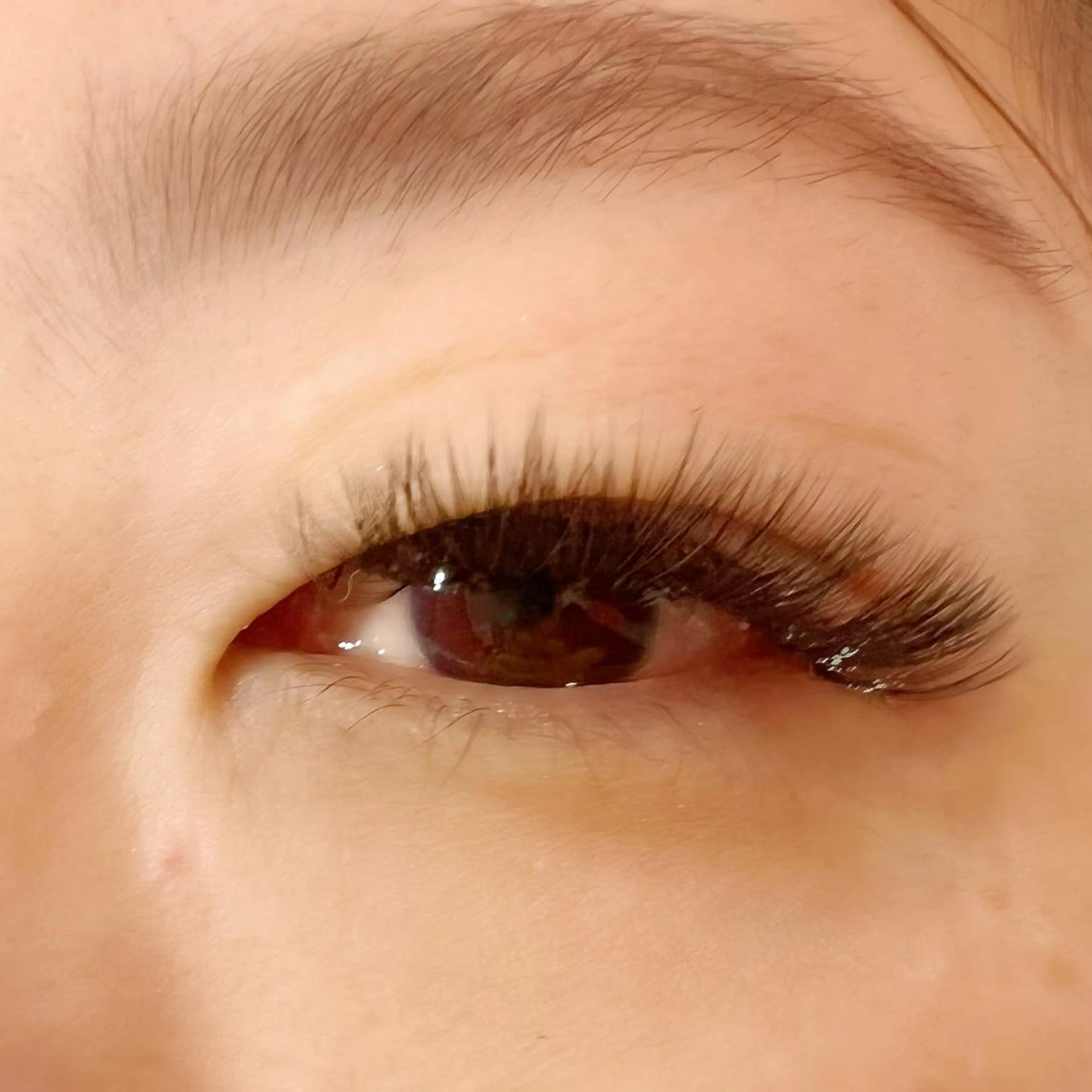 マツエク・マツパ Celeste Venus所属・🧸Celeste Venusのマツエク・マツパデザイン