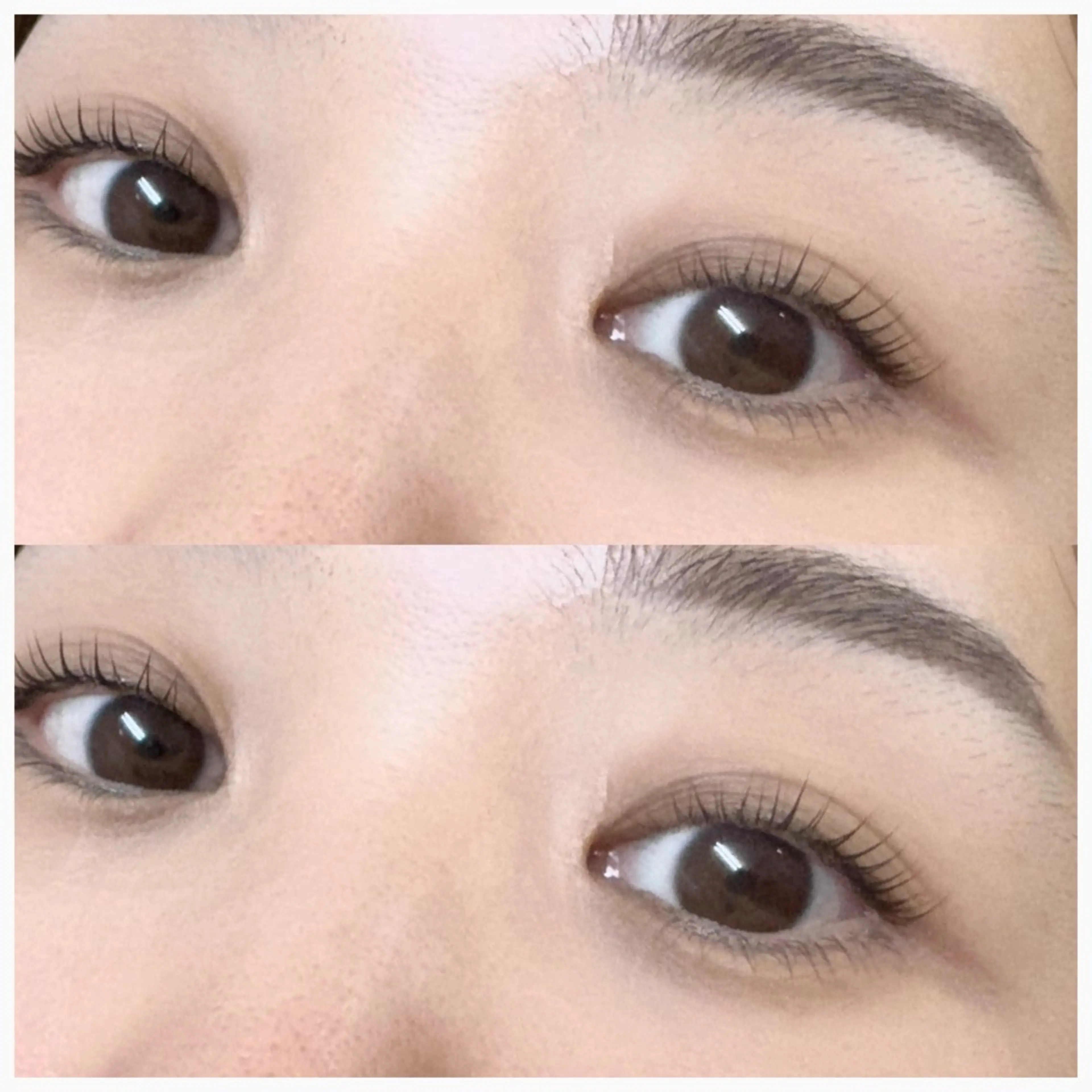 《🎄12月限定🎄》パリジェンヌ＋アイブロウWAXの写真