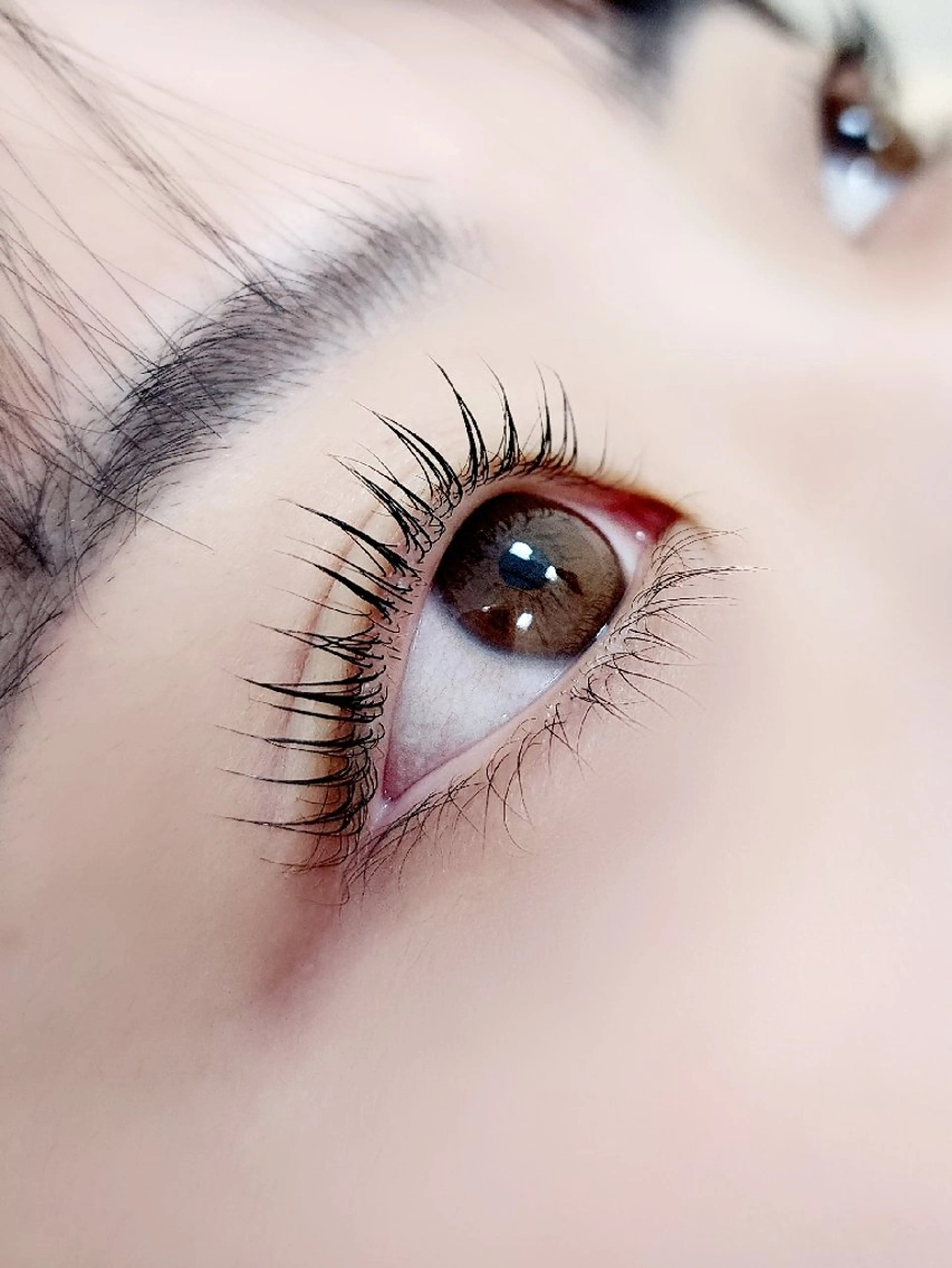 マツエク・マツパ 付け放題 バインドロック 束感まつ毛 カラーマツエク フラットラッシュ Ｍ salon アイラッシュのマツエク・マツパデザイン