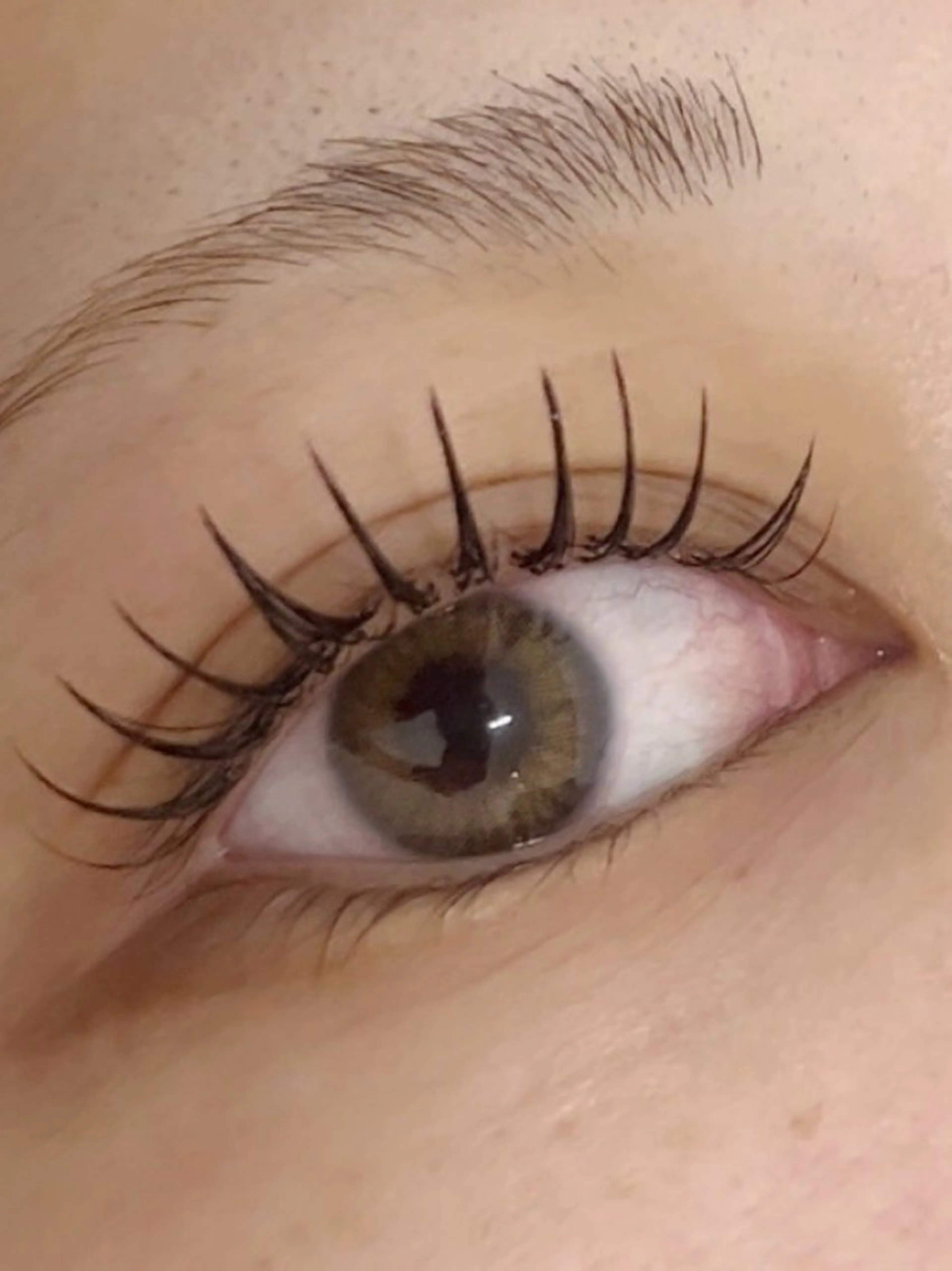 マツエク・マツパ LORAN_ Ayamiの眉毛・アイブロウイメージ