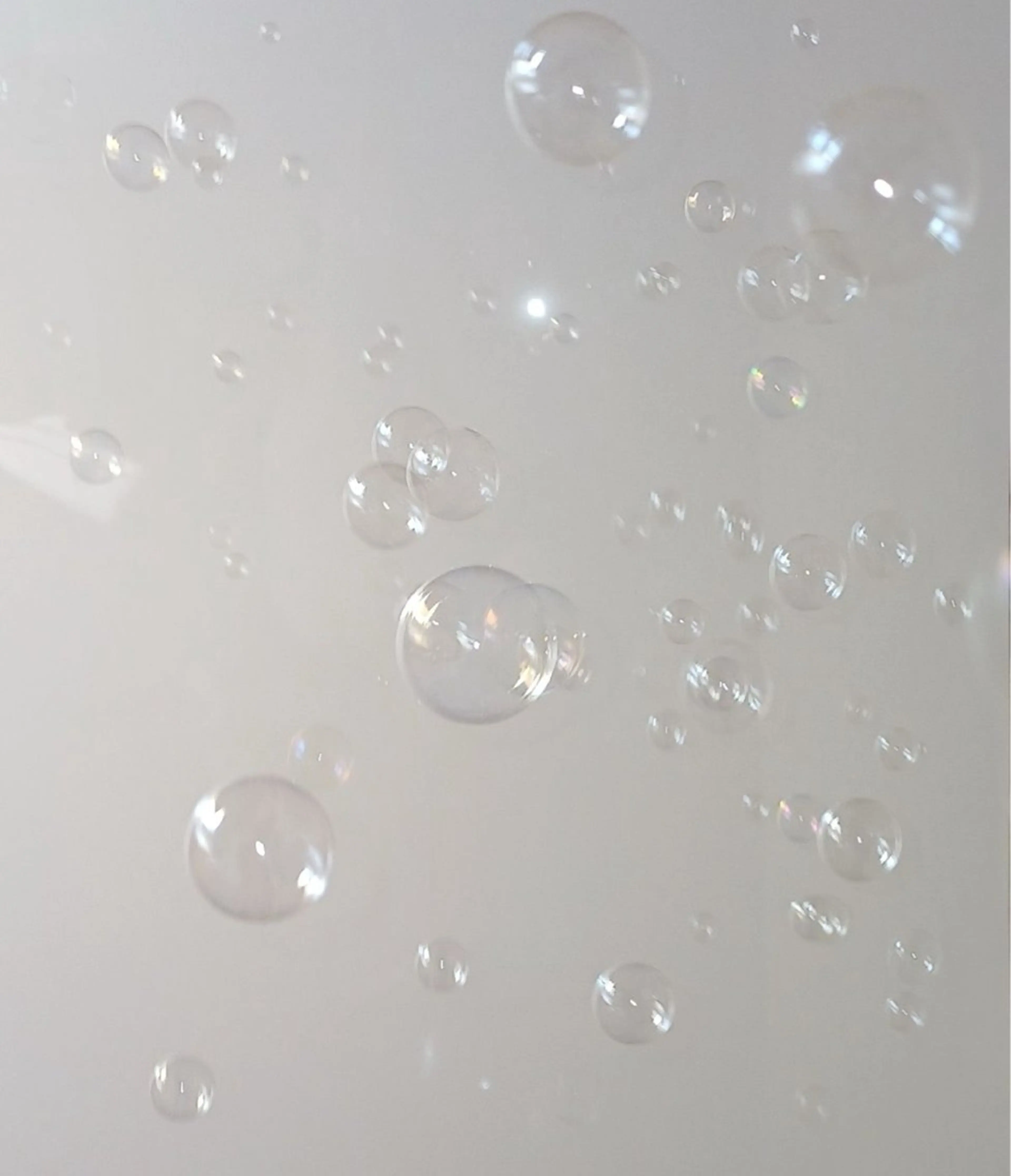 【プラスメニュー】アイシャンプー🫧の写真