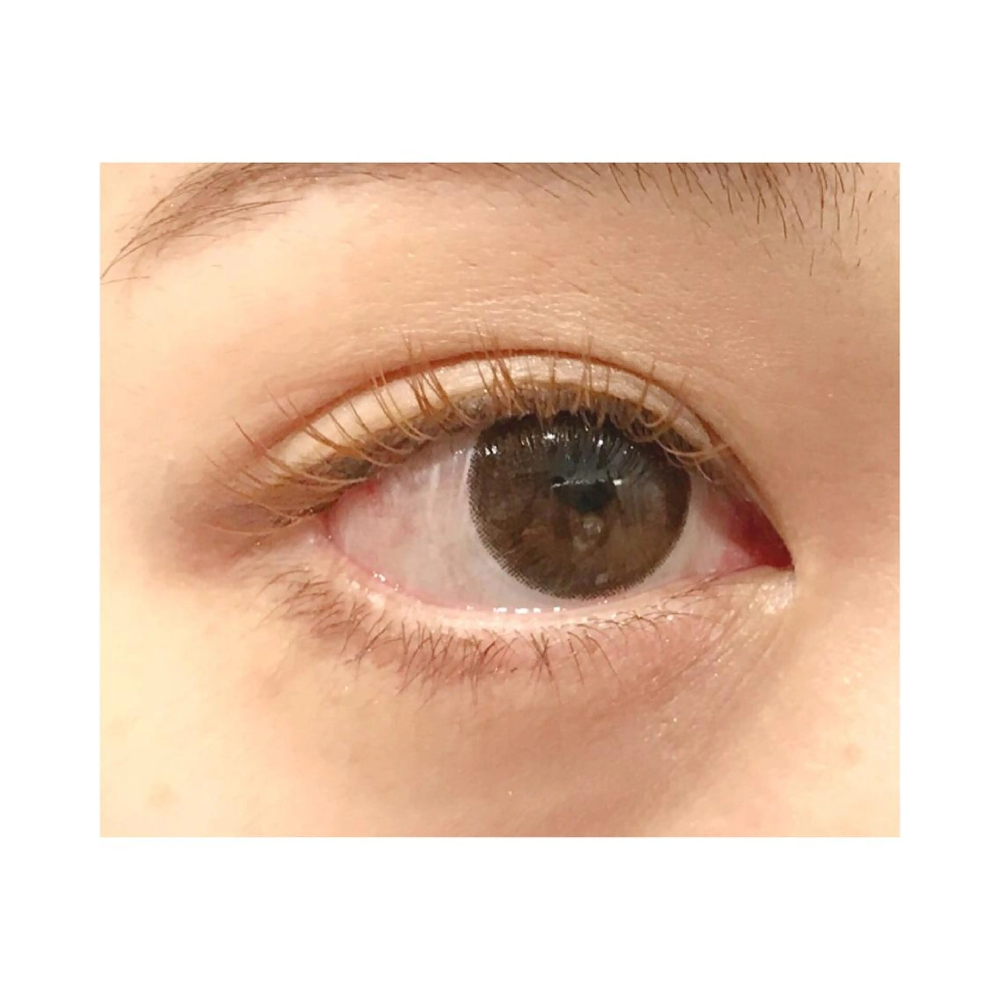 マツエク・マツパ カラーマツエク Cheri所属・きし かりんの眉毛・アイブロウイメージ