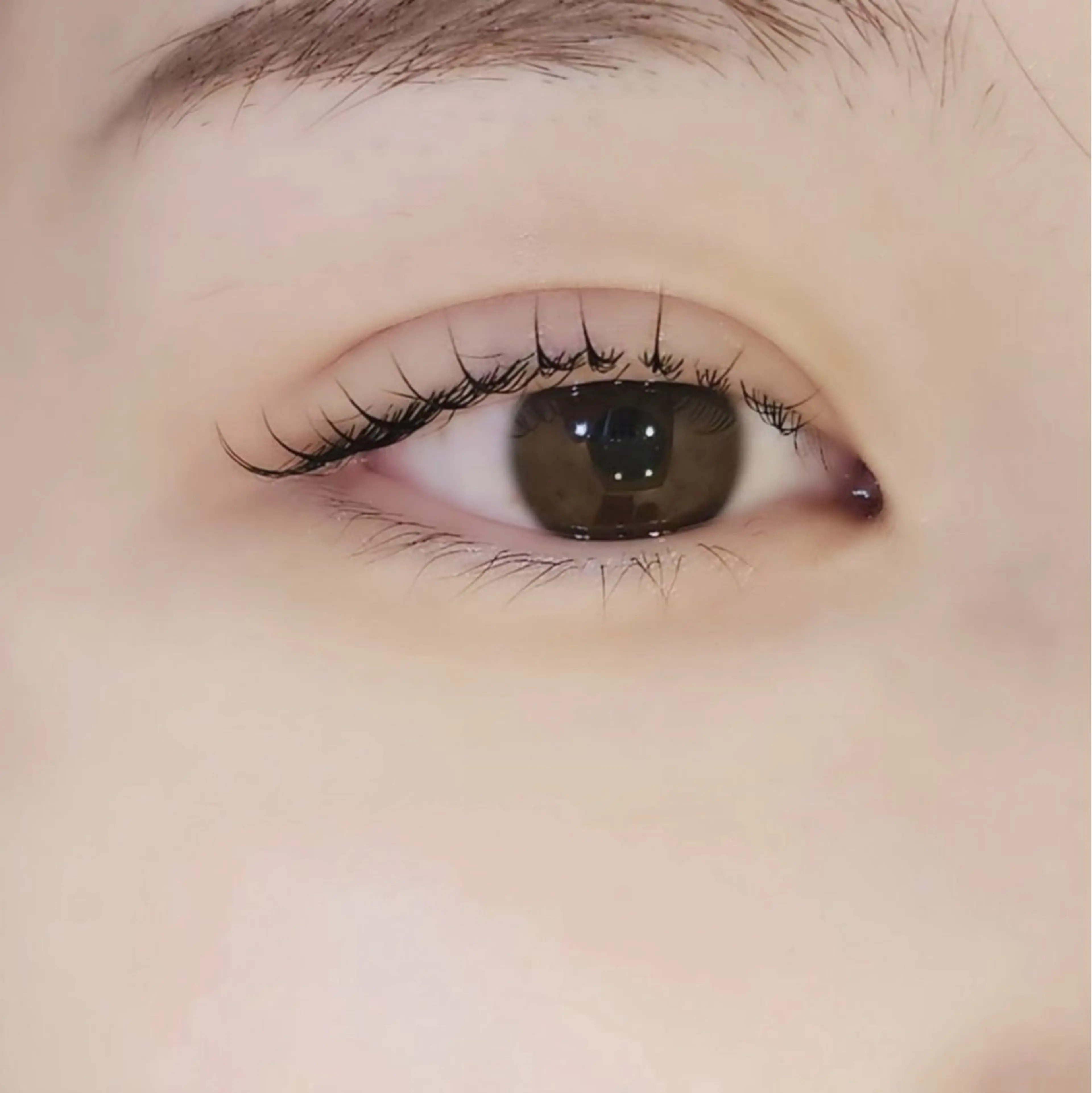 マツエク・マツパ GALLARIA MIKOのマツエク・マツパデザイン