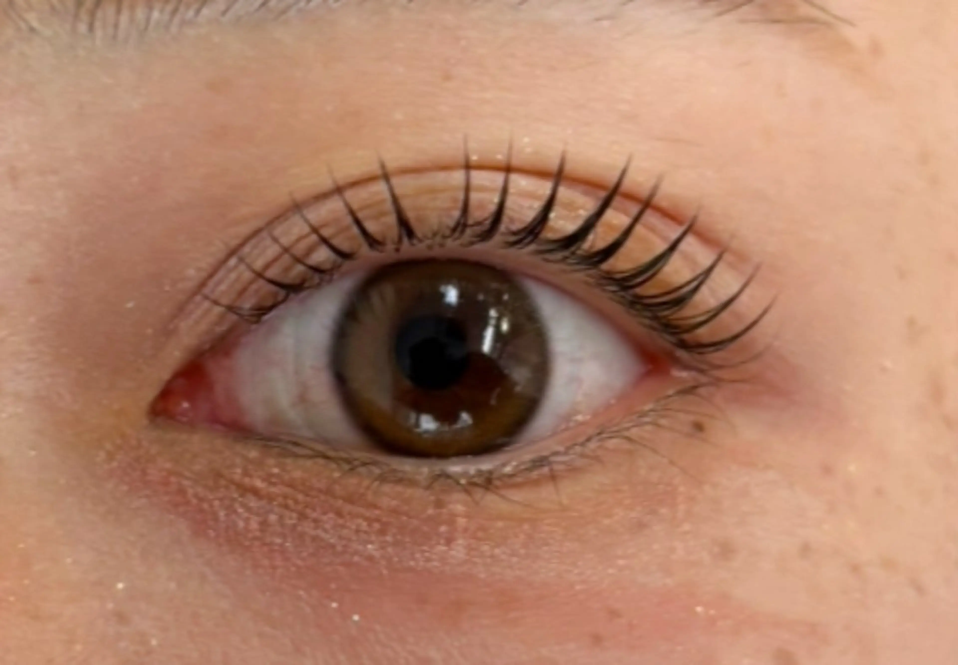 【12月限定】¥1000オフ✨️🤍トリートメント・コーティング付き🤍パリジェンヌラッシュリフト上のみ⏱60分の写真