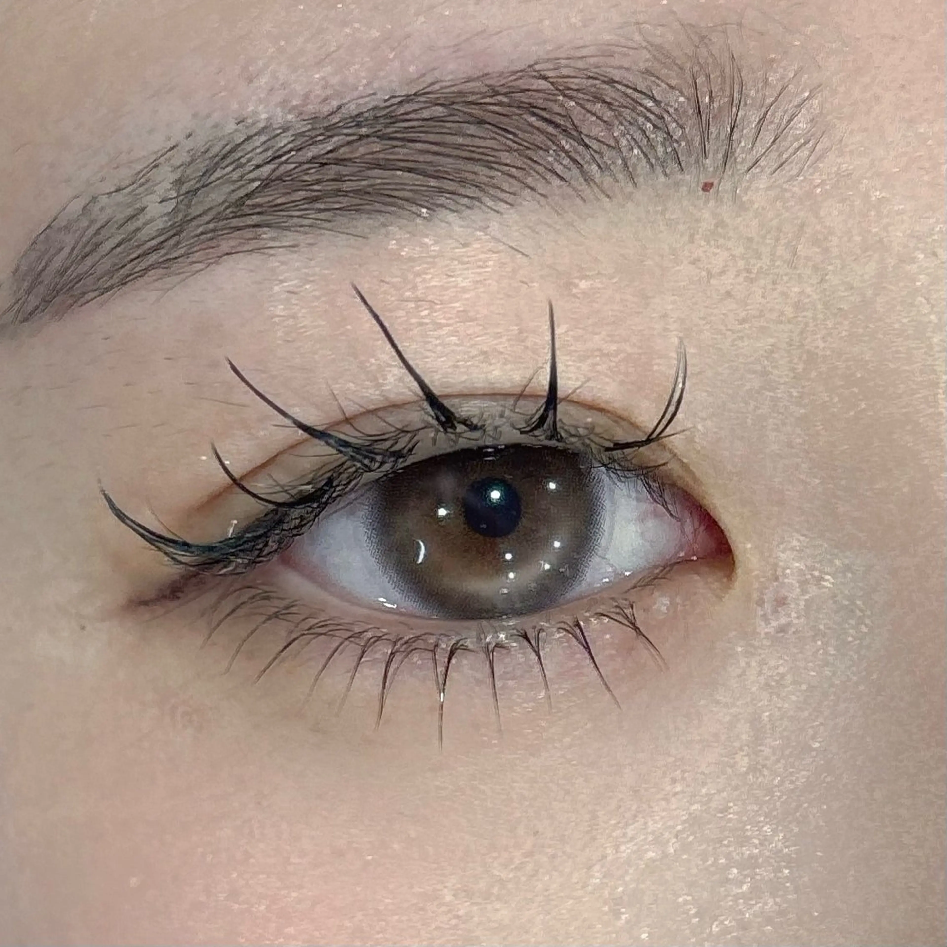 マツエク・マツパ 下まつげエクステ 一重×まつ毛パーマ sofa / Akari🏠のマツエク・マツパデザイン