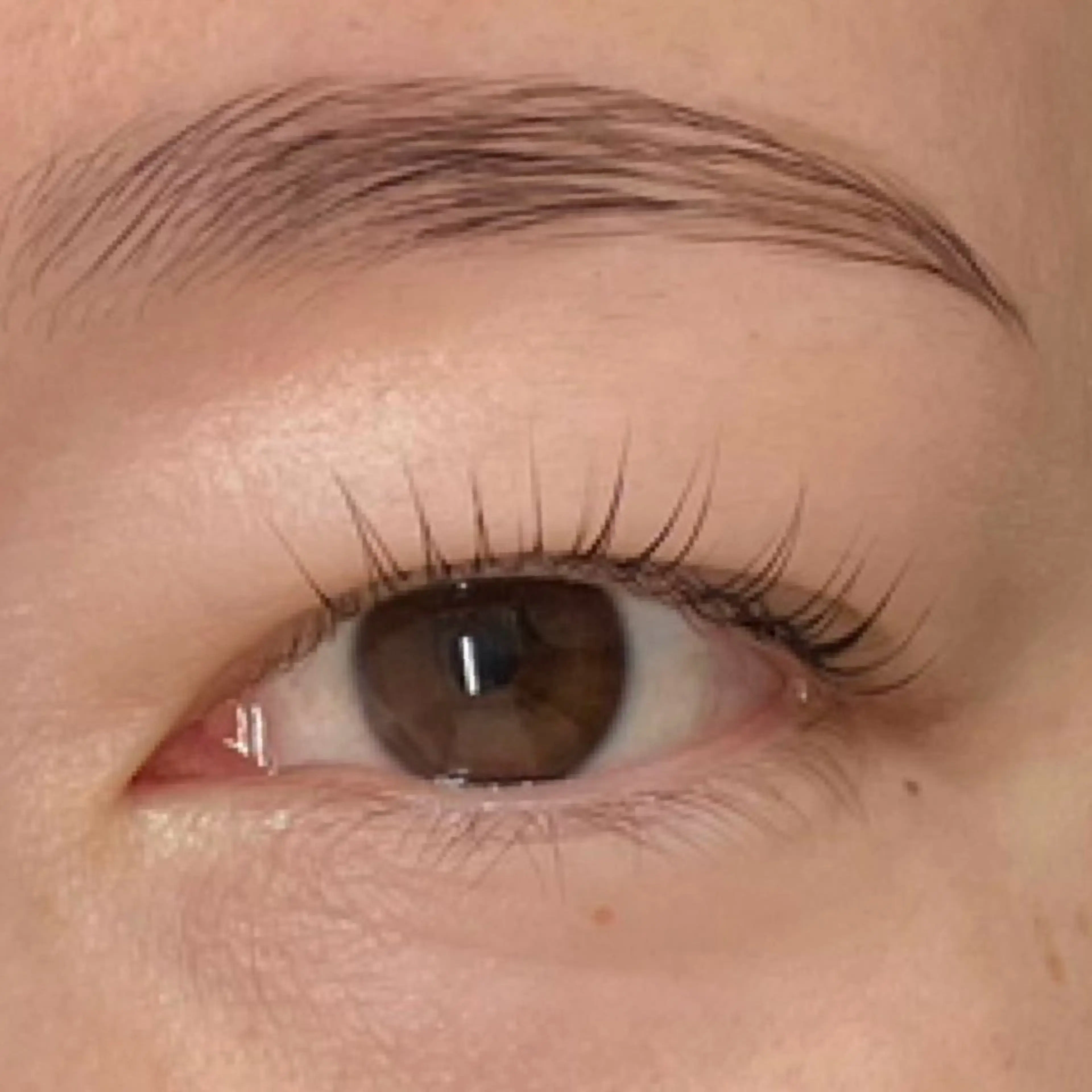 マツエク・マツパ まつげと眉毛のお店Sakura Lash【サクララッシュ】所属・【ダメージケア特化】 🌸 サクララッシュの眉毛・アイブロウイメージ