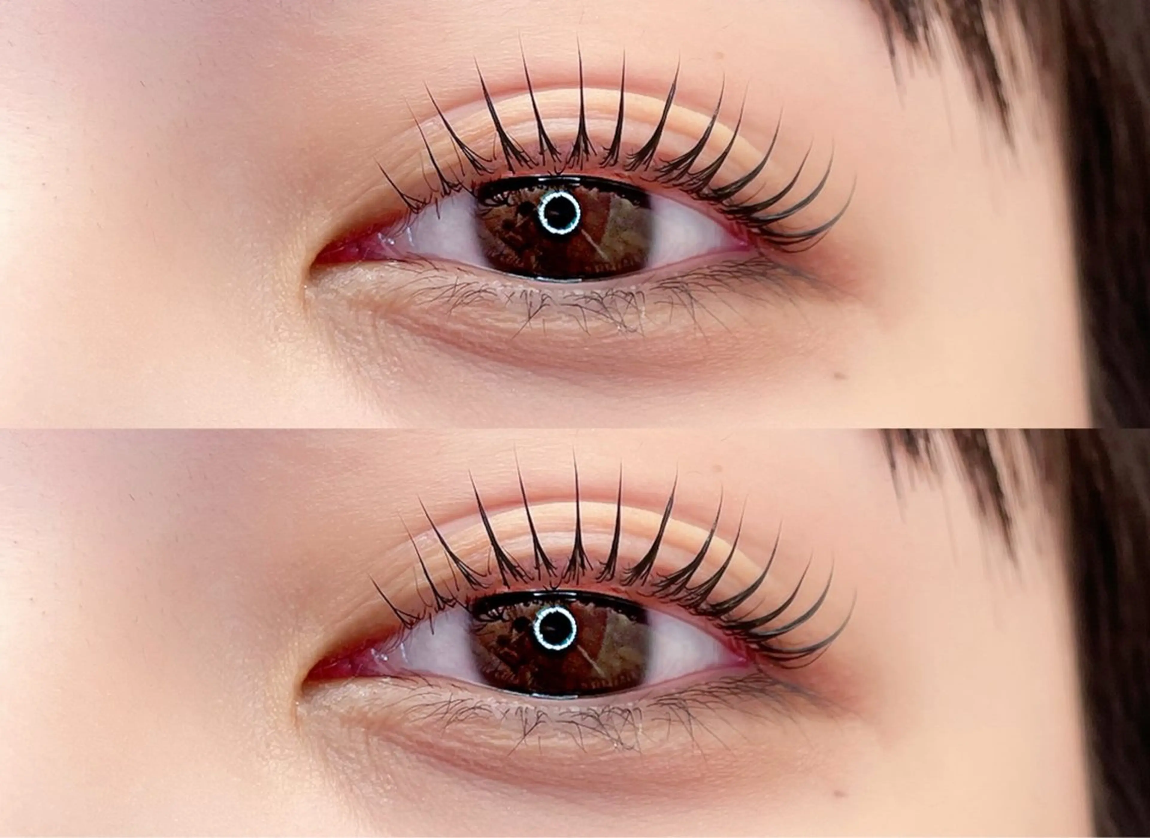 マツエク・マツパ マツパ Lupines ౨ৎ˖⊹ AISAのマツエク・マツパデザイン