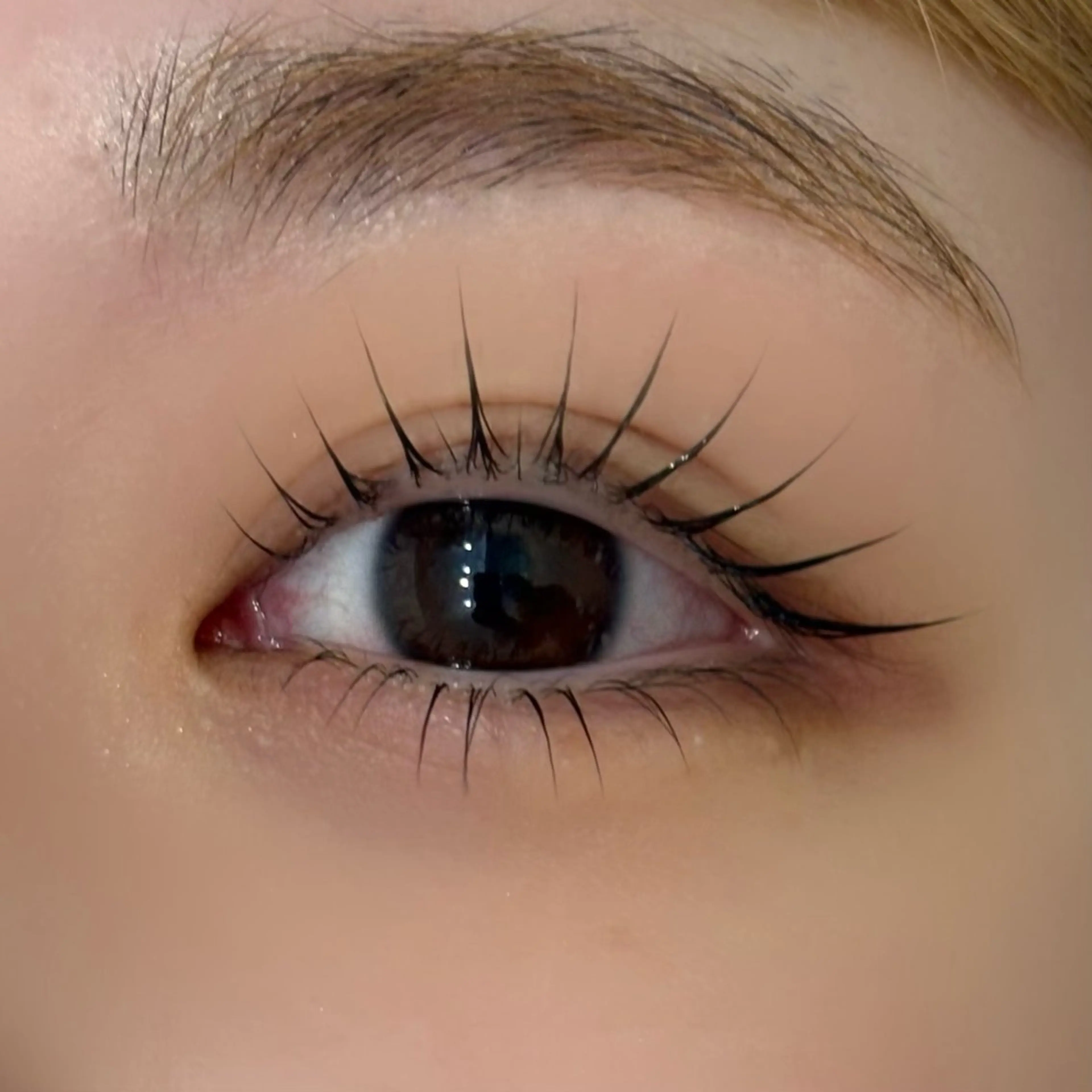 🍃パリジェンヌorラッシュリフト🍃束感コーティング付き🧴新規¥5,000 再来¥6,000の写真