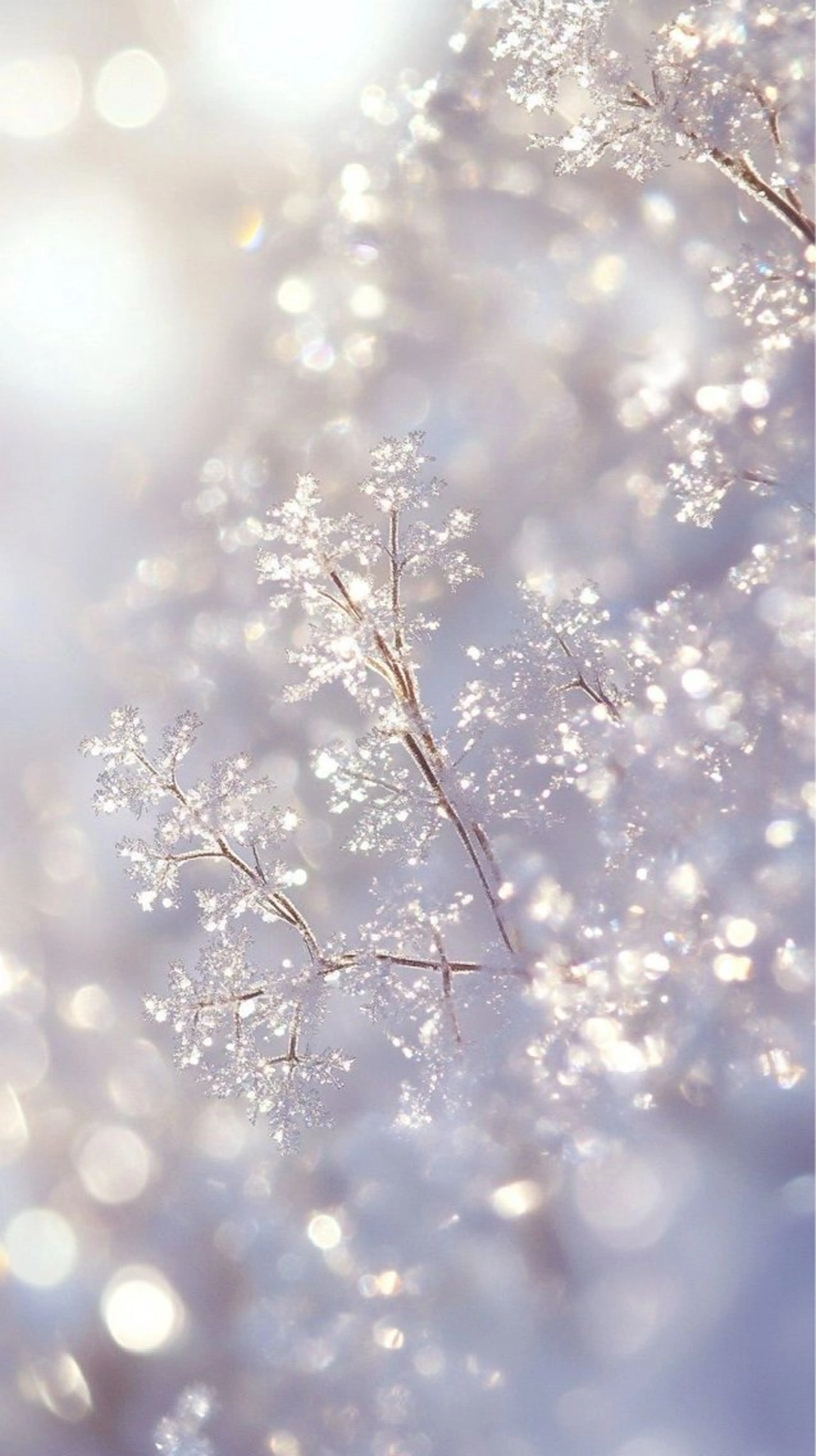 ネイル asuka 🐰のネイルデザイン