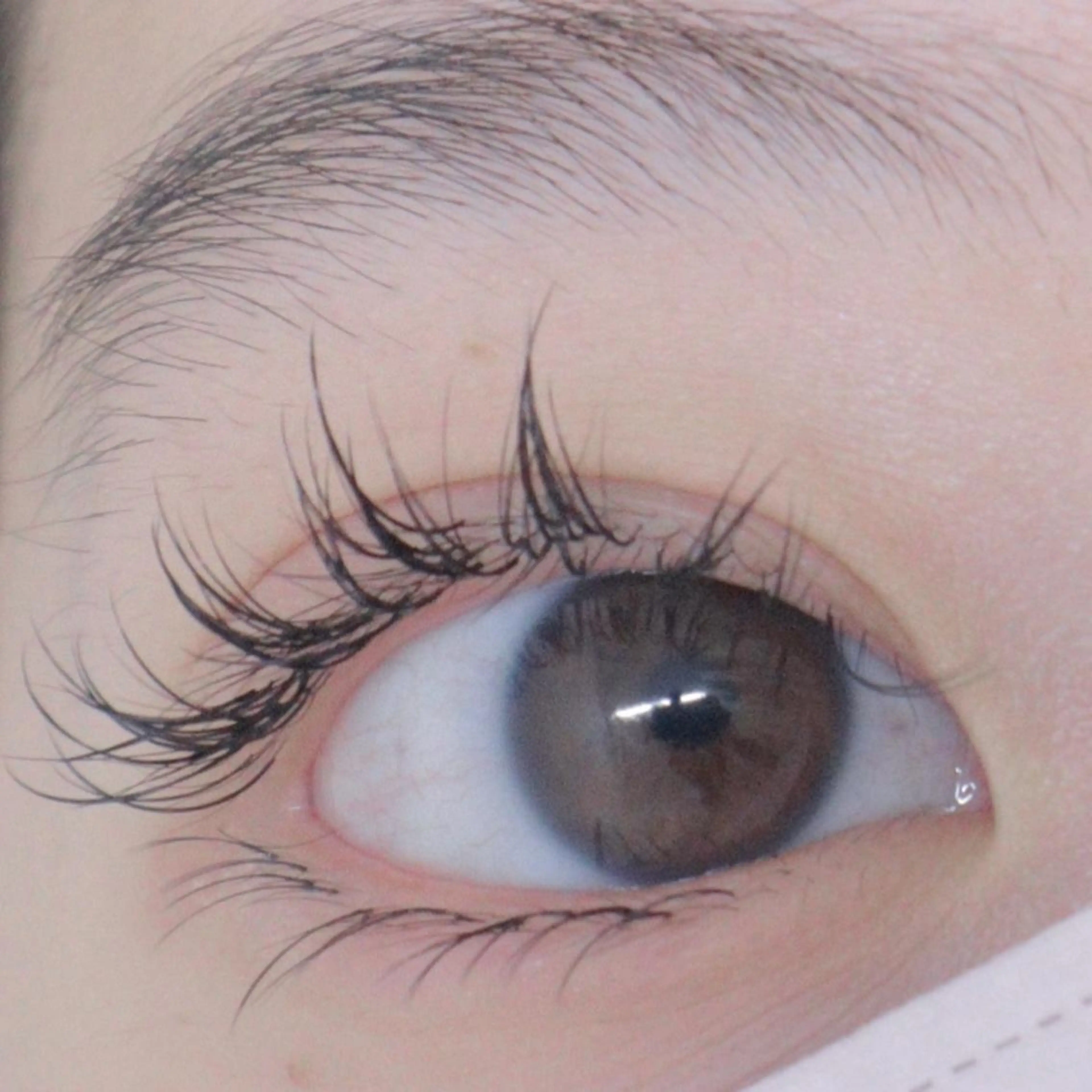 マツエク・マツパ foisalon 大久保店のマツエク・マツパデザイン