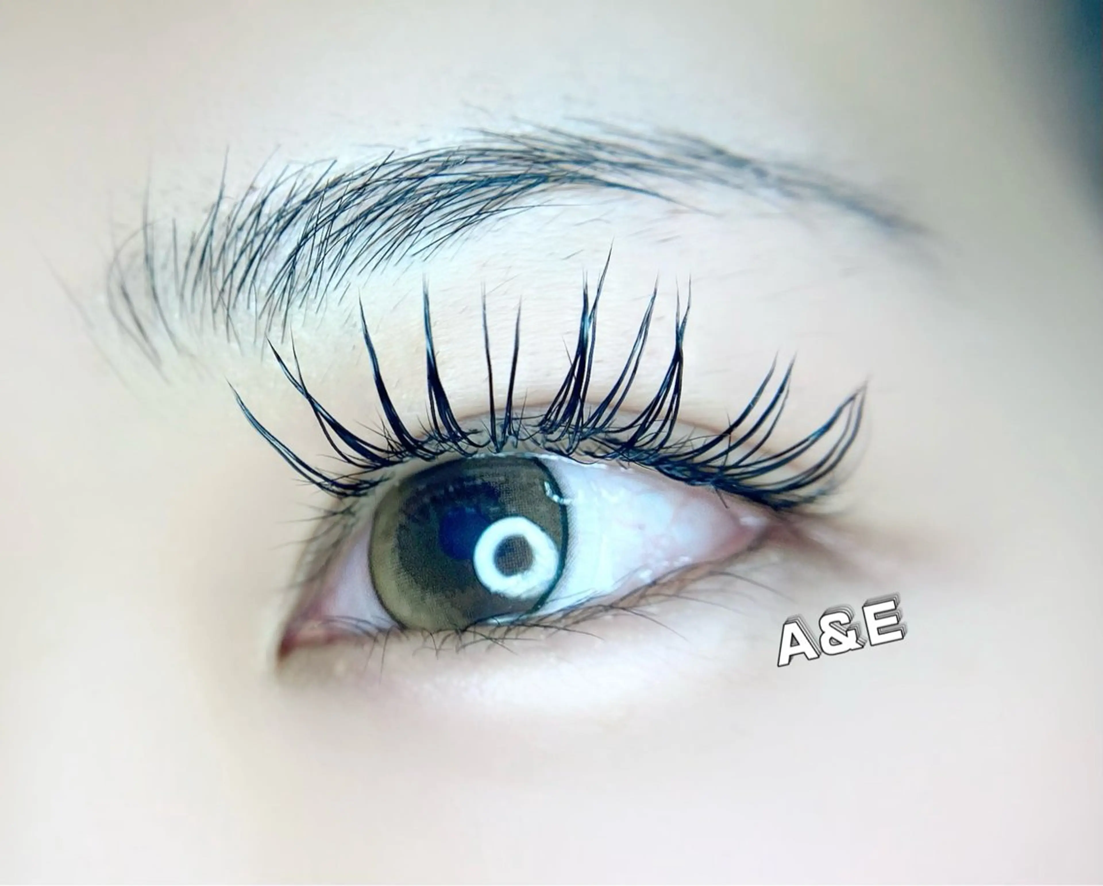 マツエク・マツパ Cカール フラットラッシュ Ａ&Ｅ所属・西岡 /マツエク/束感🎀のマツエク・マツパデザイン