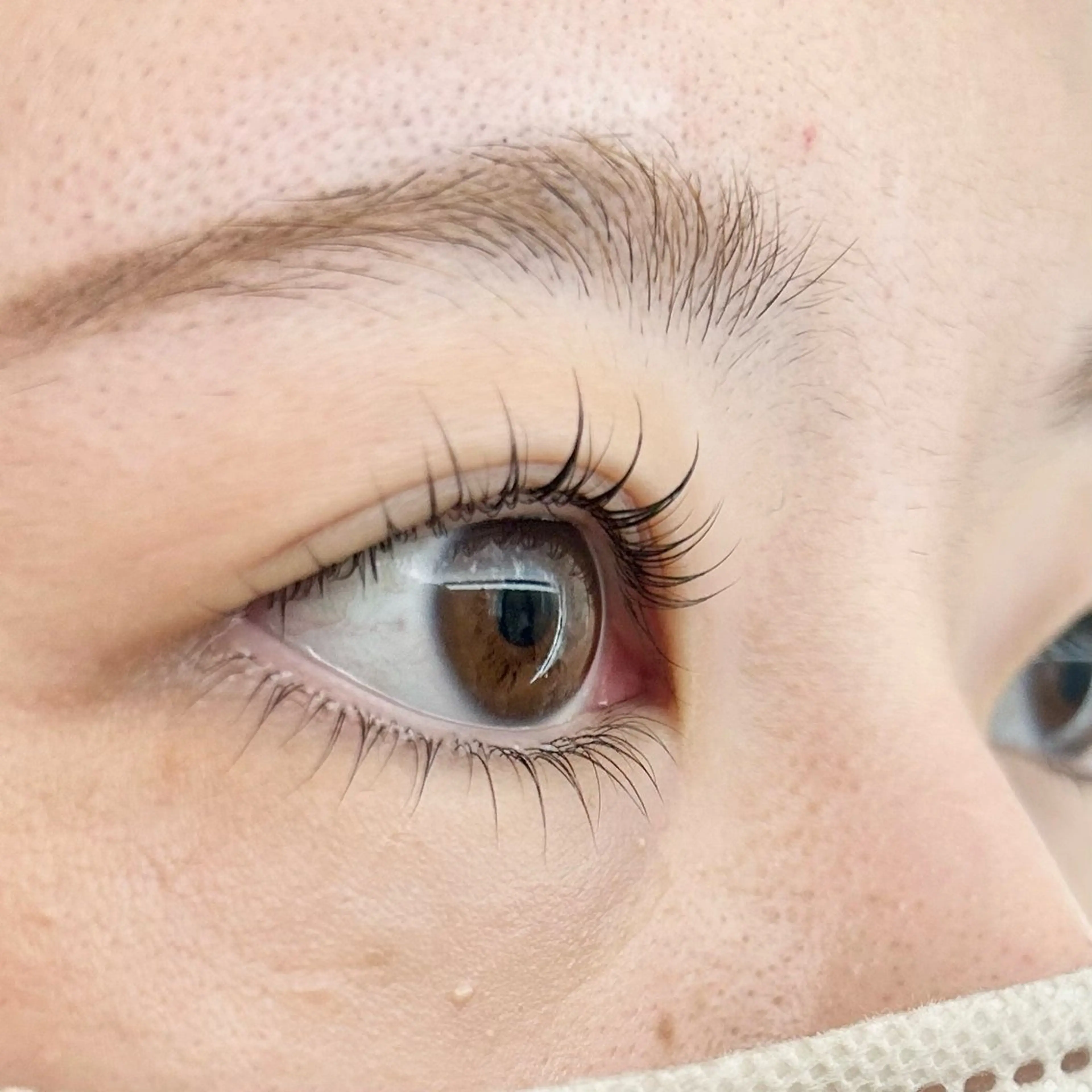 上下まつげパーマ🐋の写真