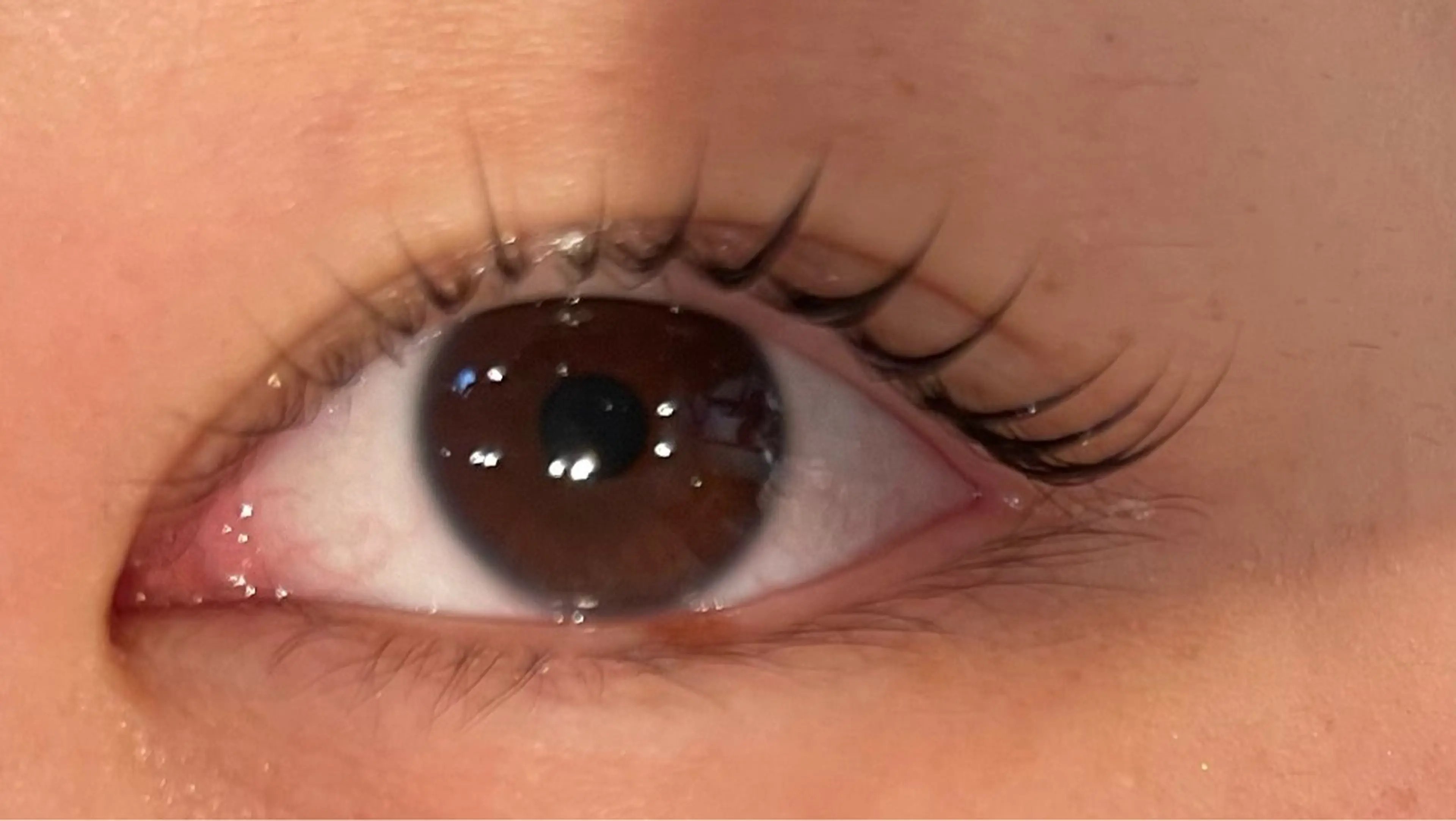 マツエク・マツパ Fleurage 新名のマツエク・マツパデザイン