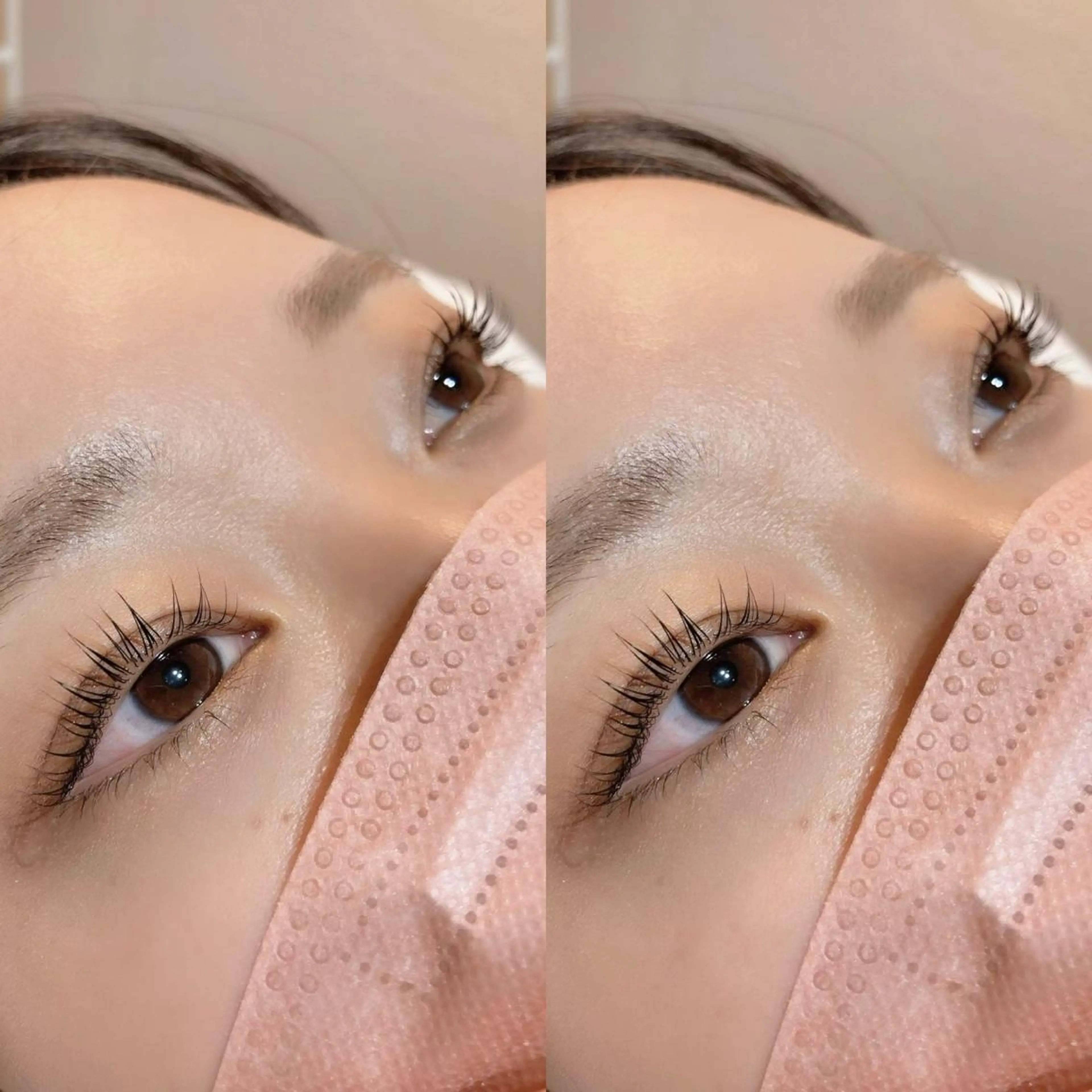 【6週間以内ご来店】ラッシュリフト　5800円の写真