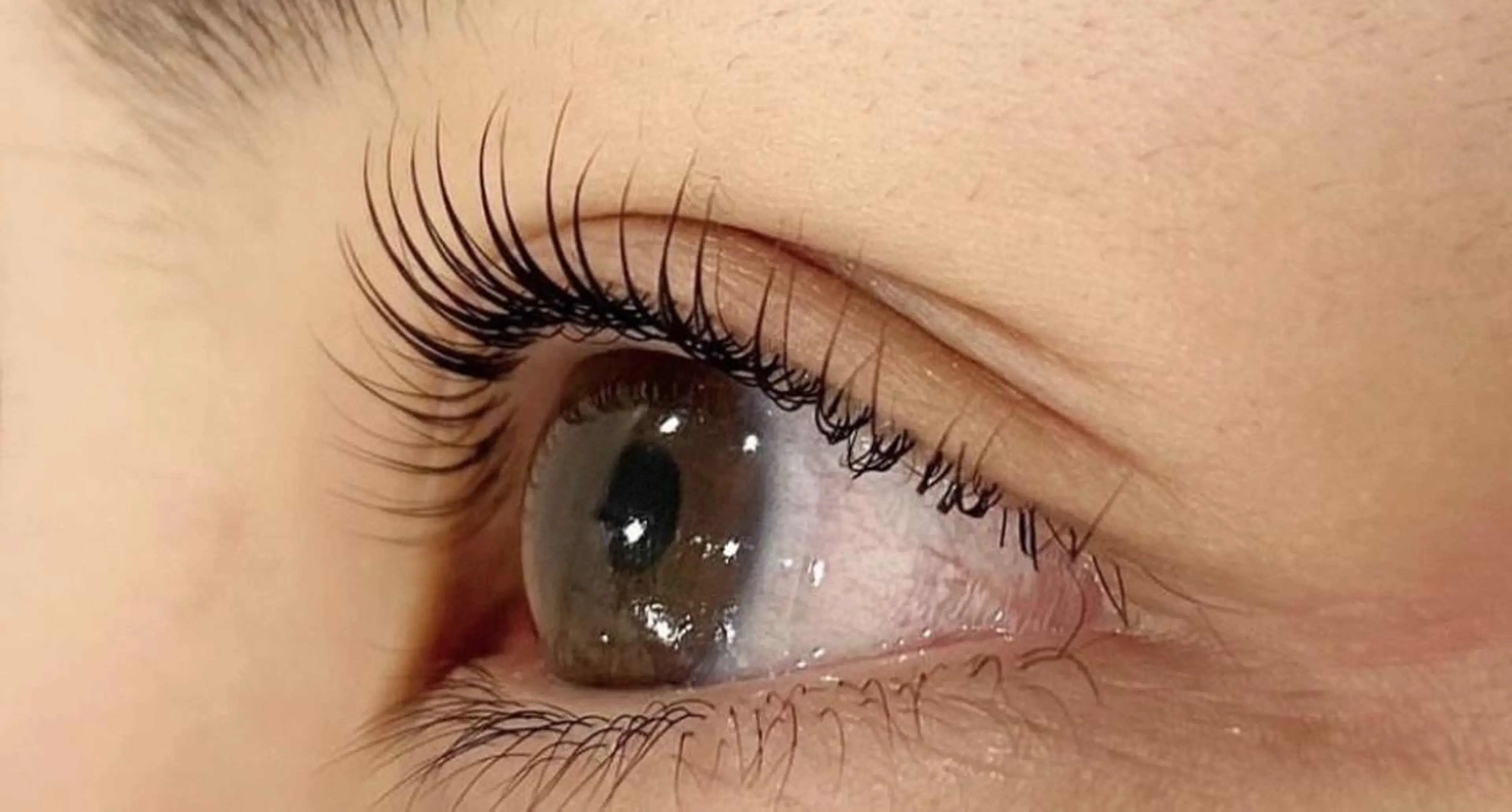 人気ナンバー1🔅パリジェンヌラッシュリフト🧚🏻コーティング付✨【平日限定】の写真