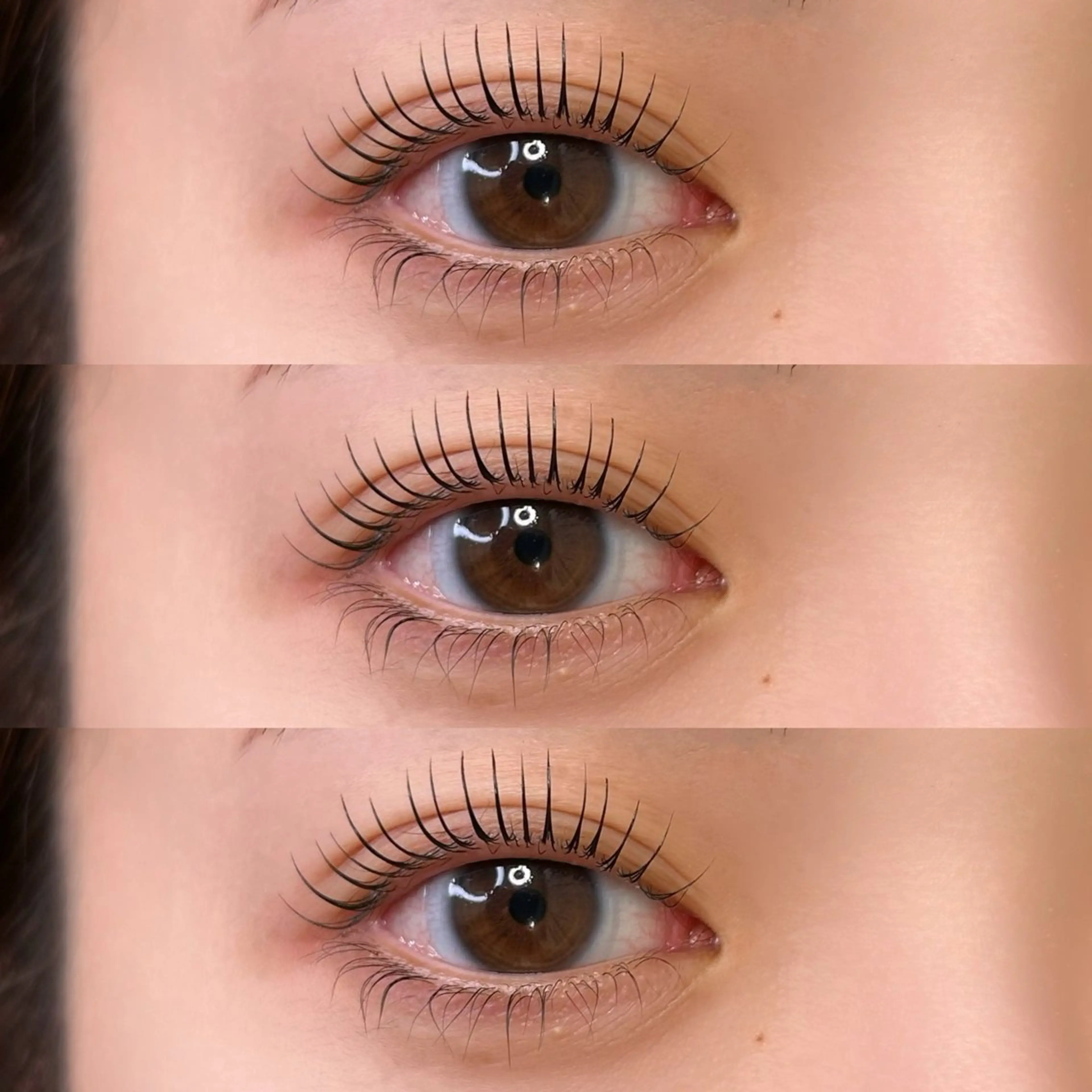 💎【ダメージ軽減トリートメント+まつ毛シャンプー付きラッシュリフト】+コーティング仕上げ付き🫧の写真