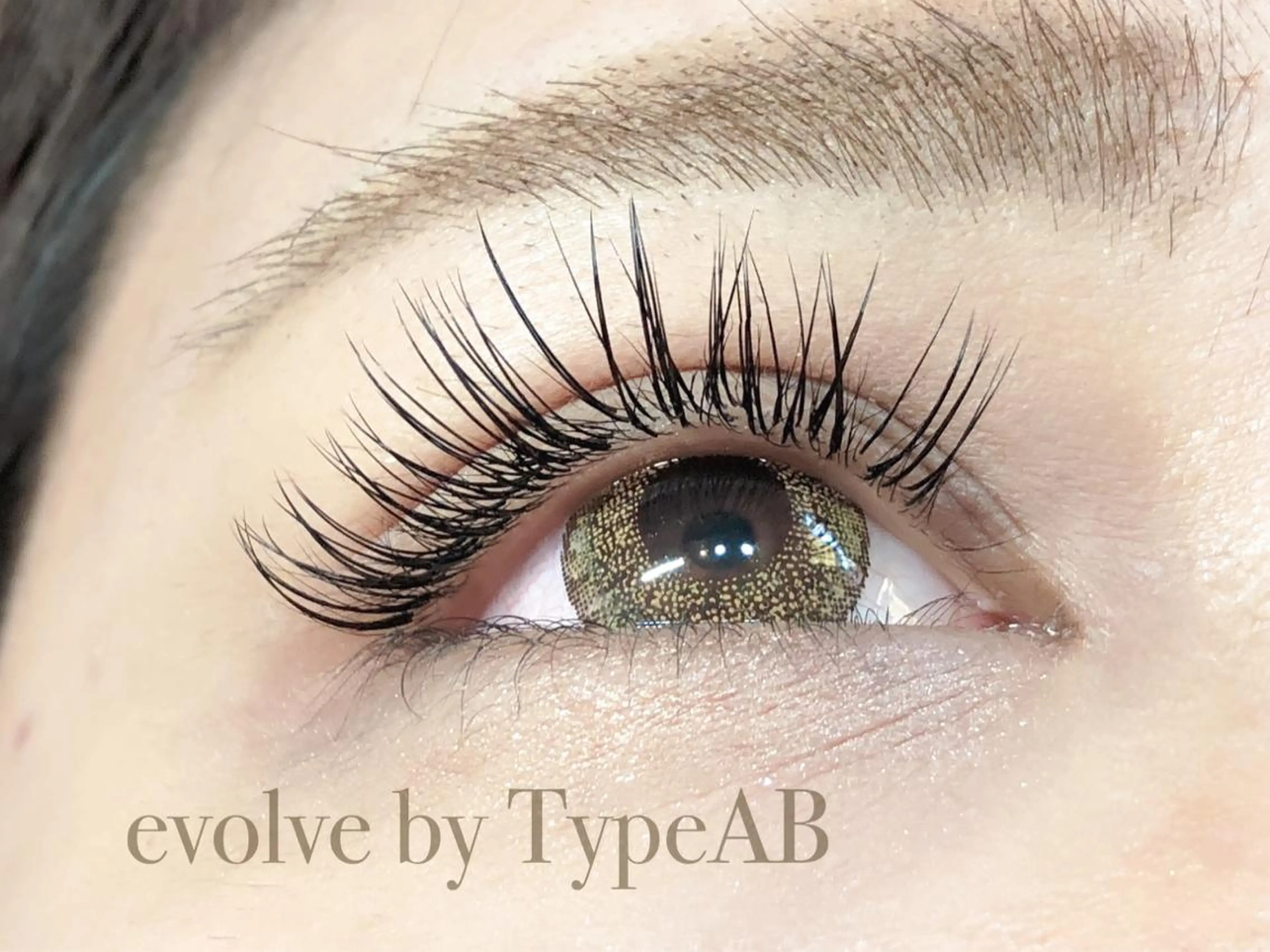 マツエク・マツパ Cカール マツエク evolve by TypeAB所属・evolve  by TypeABのマツエク・マツパデザイン