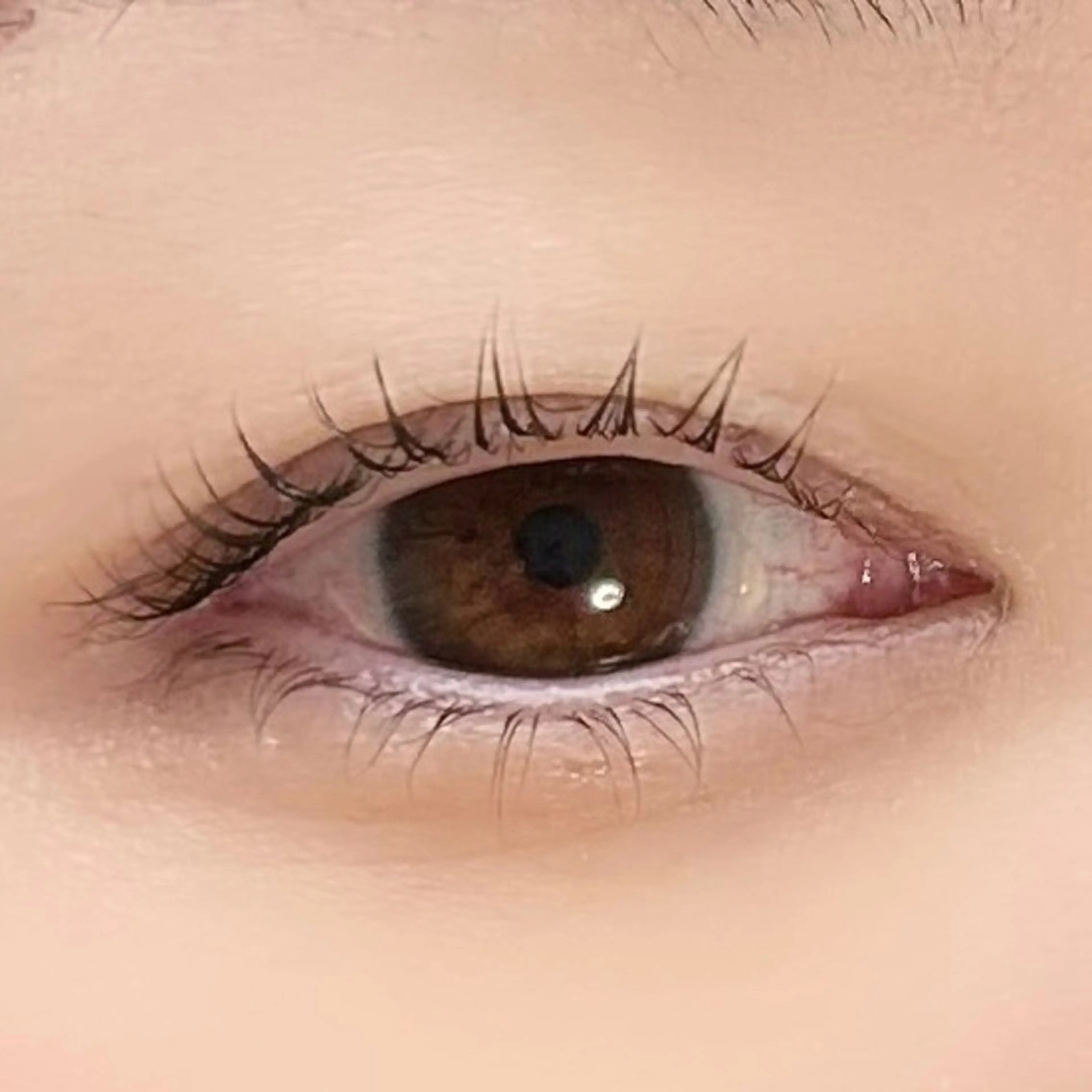 【期間限定】下まつげカールの写真